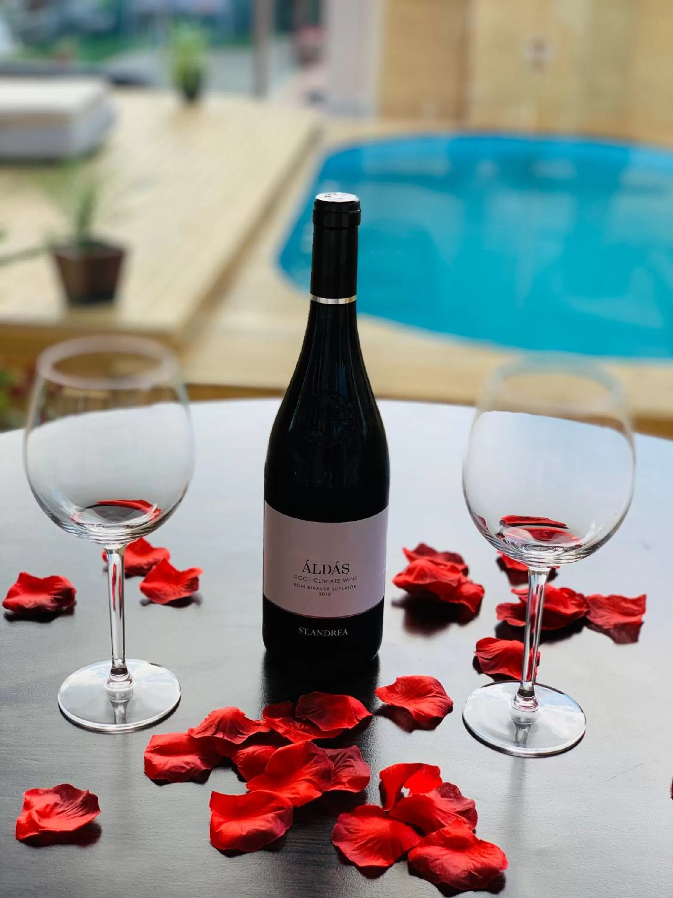 Swimming pool in Egria Apartments