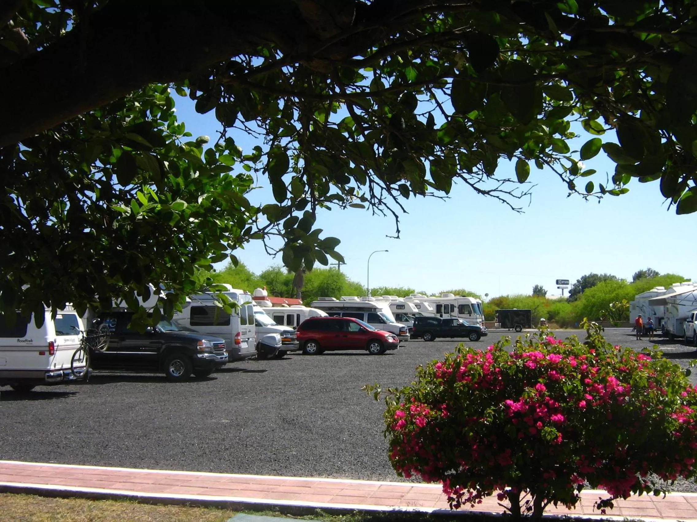 Day in Hotel Las Palmas Midway Inn