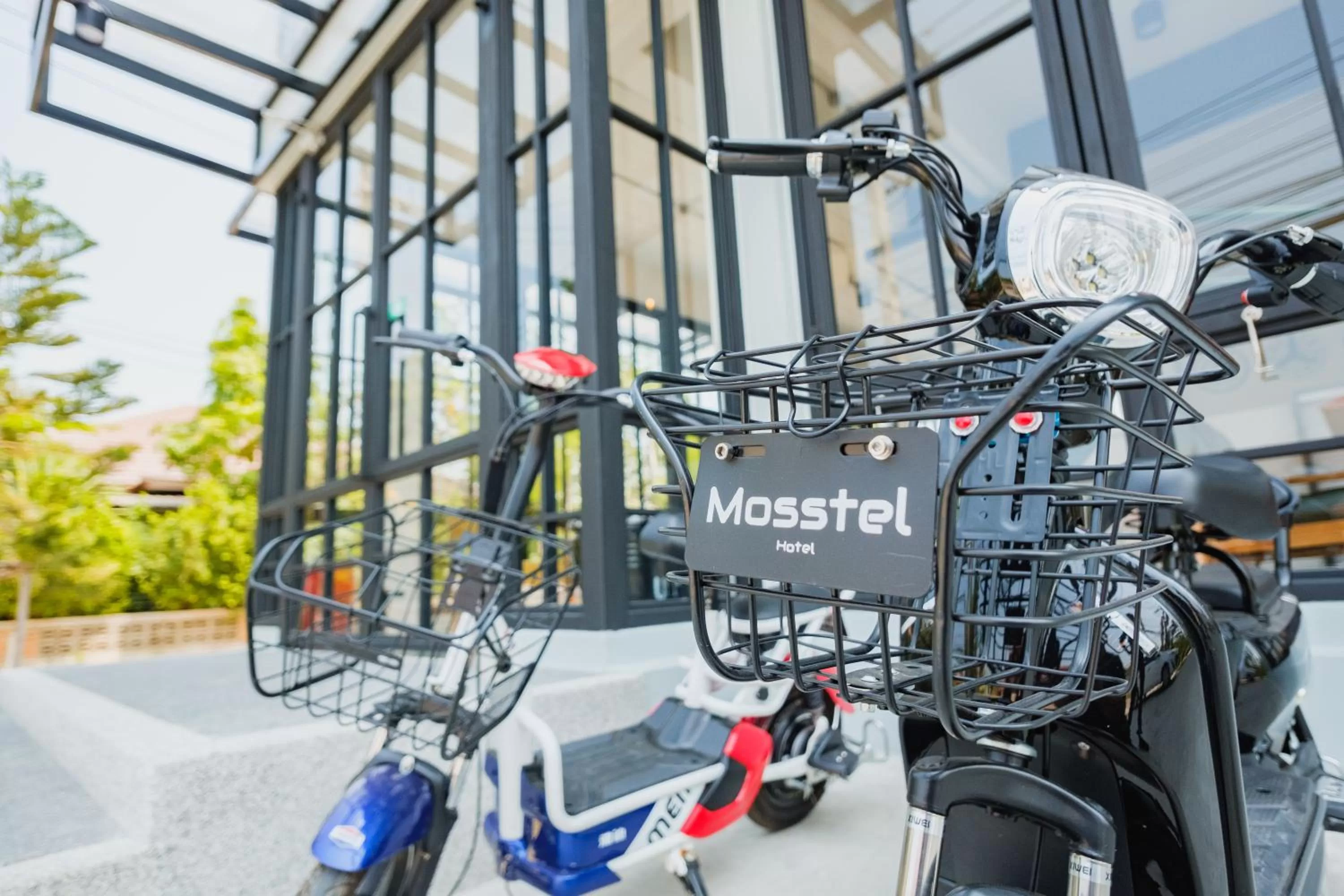 Activities in Mosstel