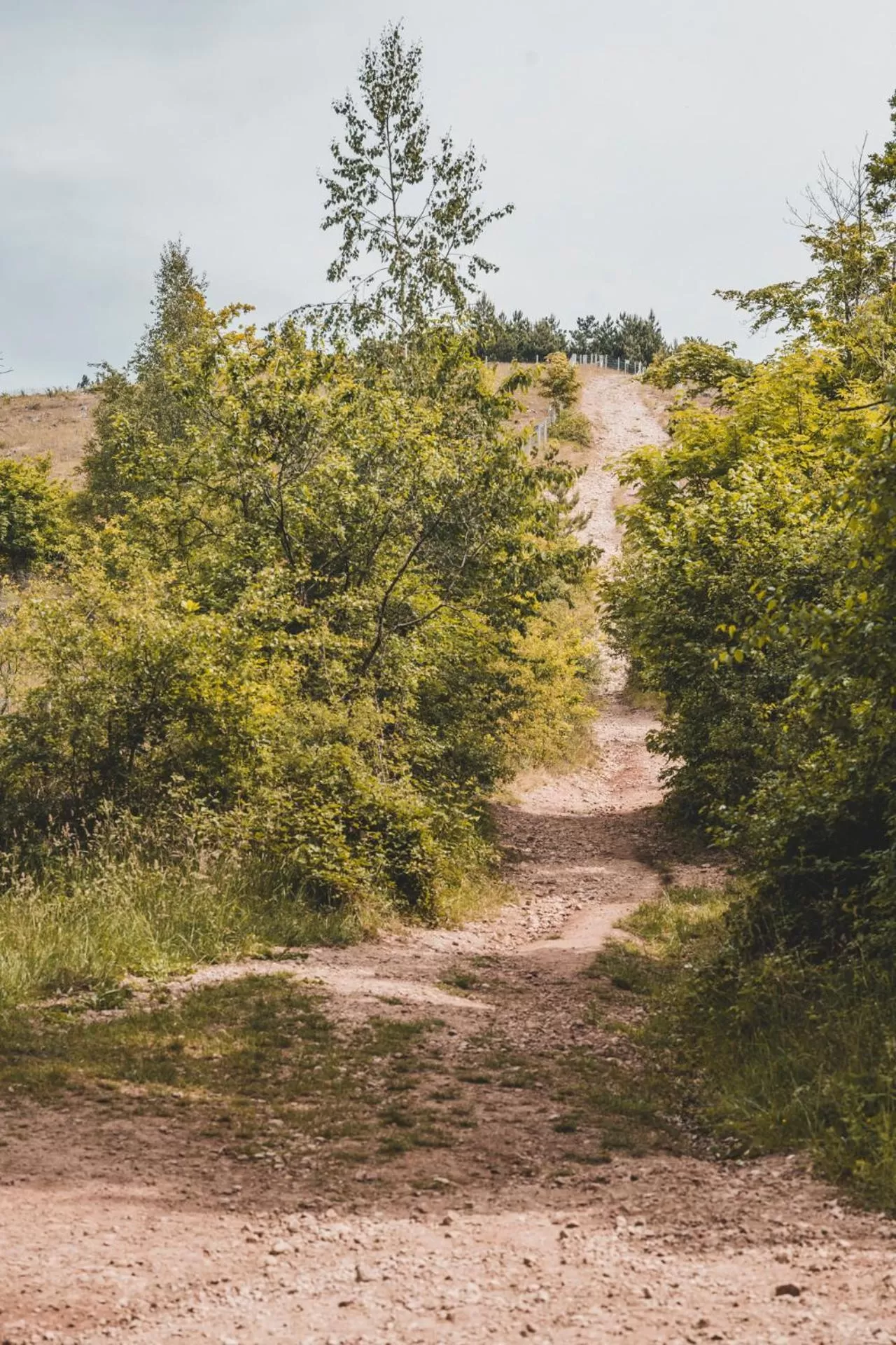 Natural landscape in Mont-des-Pins