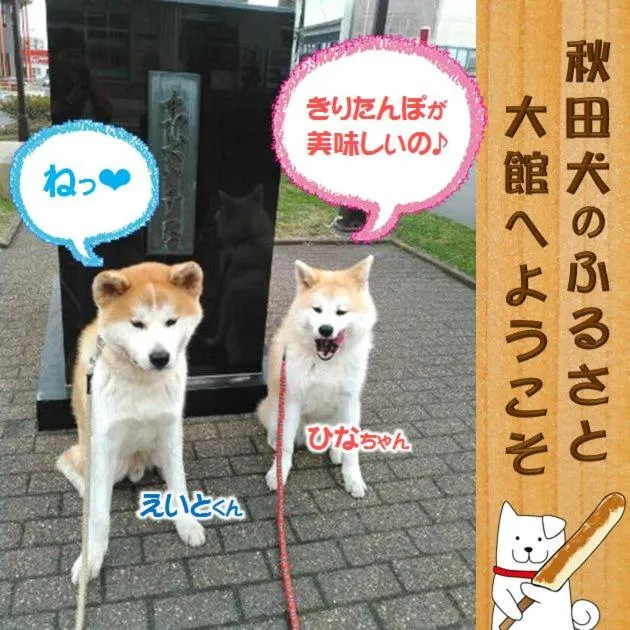 Location in Grand Park Hotel Odate