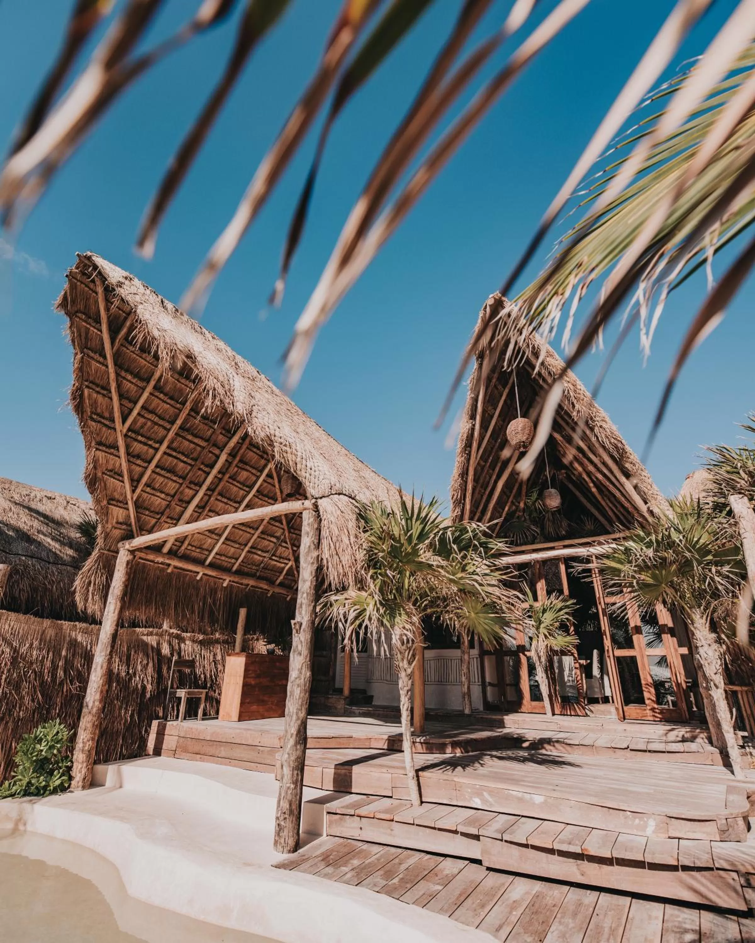 Area and facilities in Papaya Playa Project, Tulum, a Member of Design Hotels