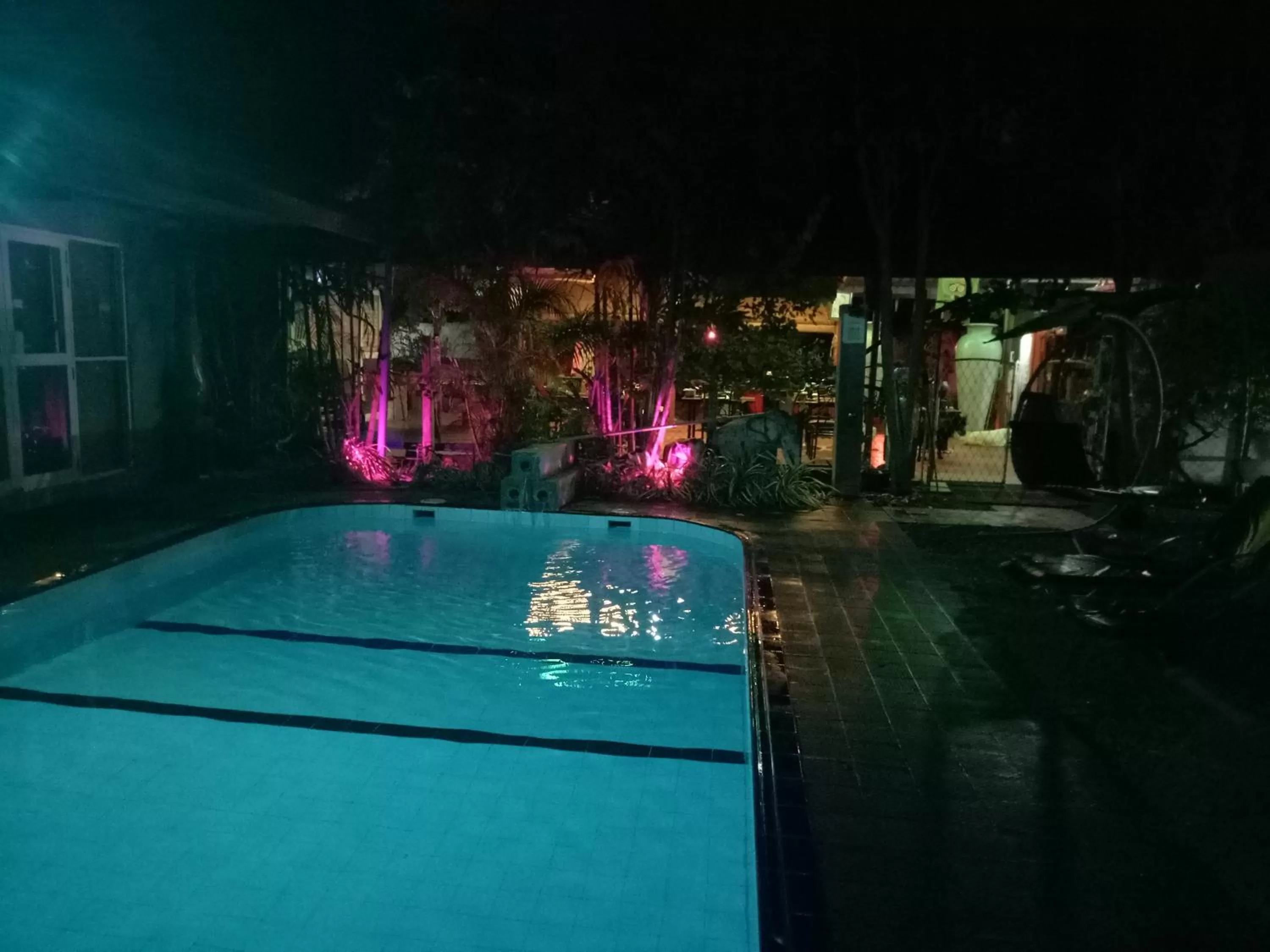 Swimming pool in Palms Villa