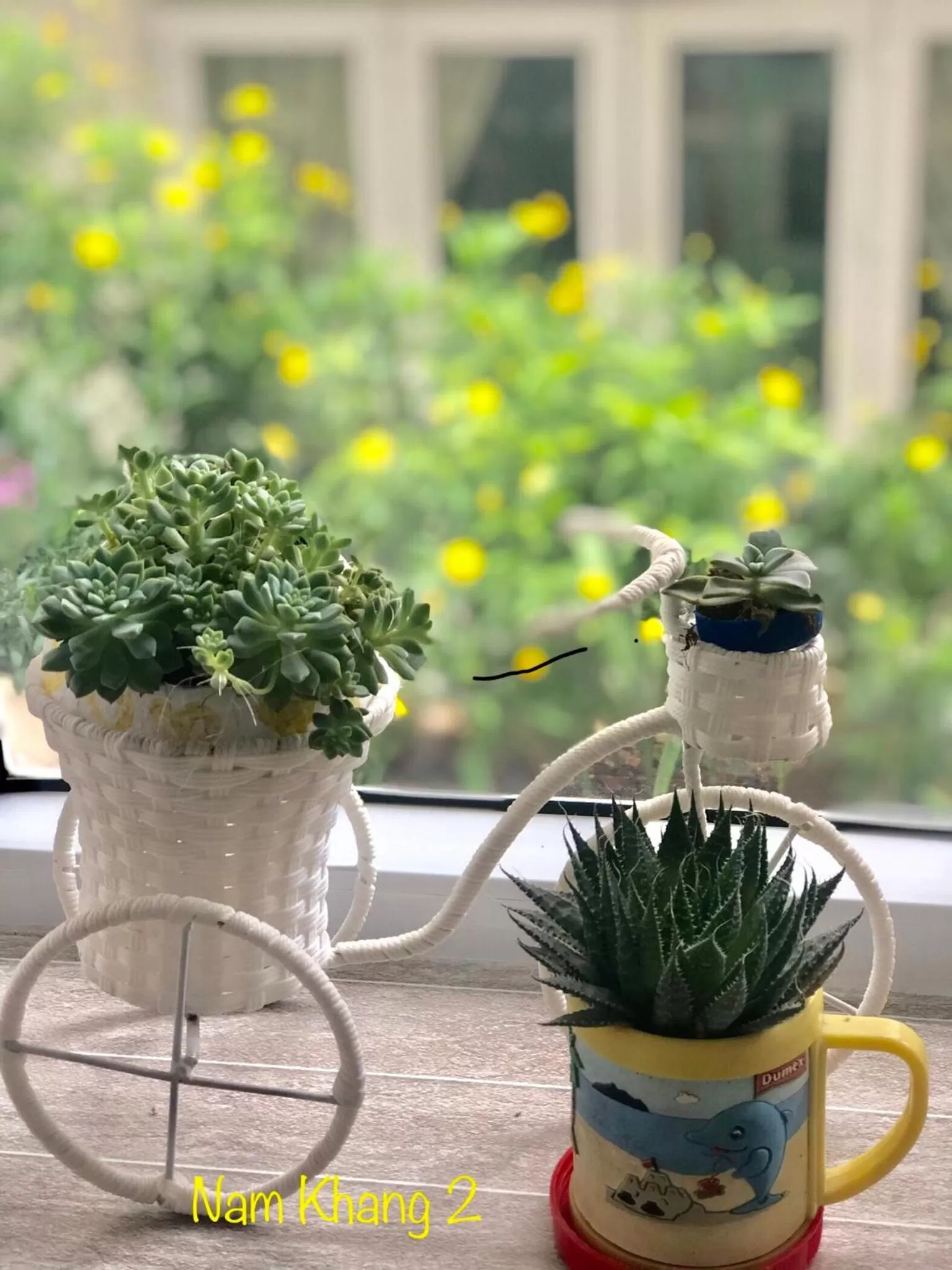 Garden in Villa - Hotel Nam Khang 2 Dalat