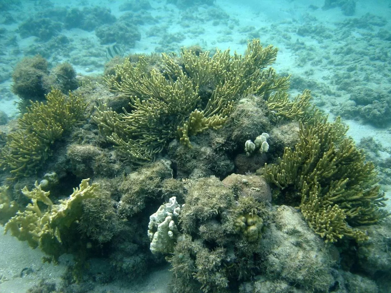 Day in Pousada Mariluz