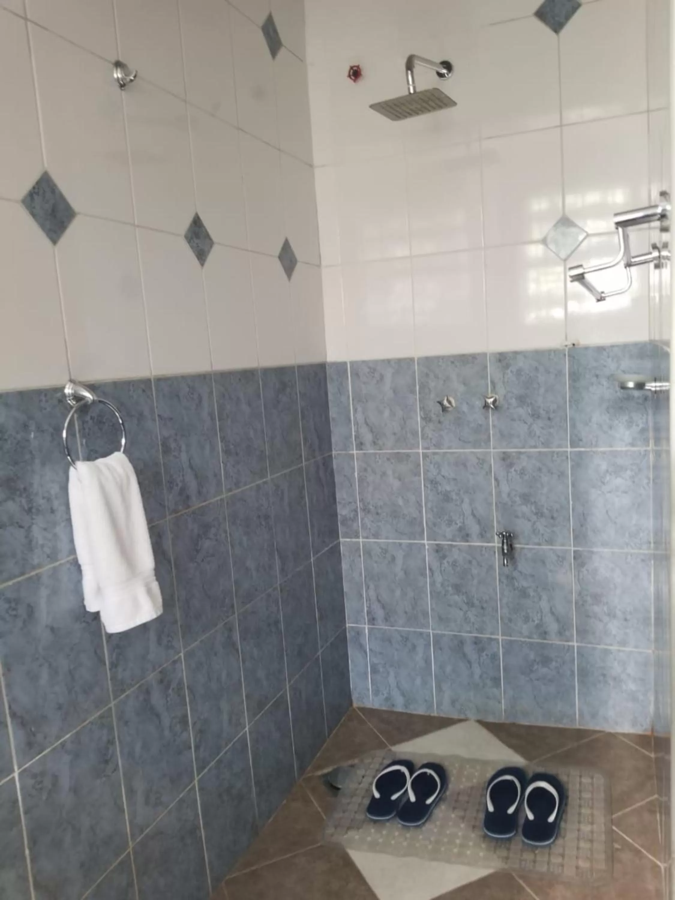 Shower in Lovely Garden Guest Home