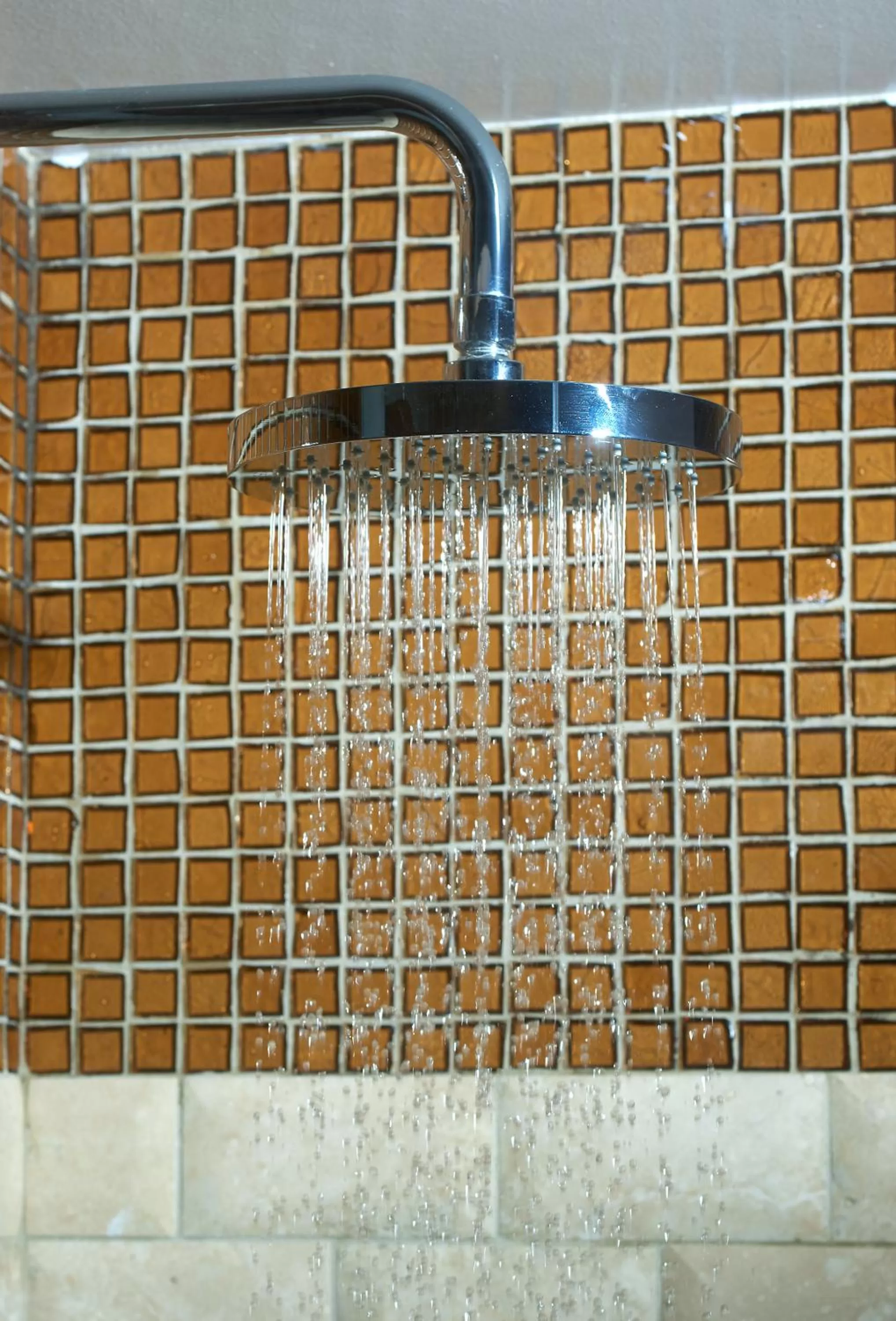 Shower in Hotel Viking