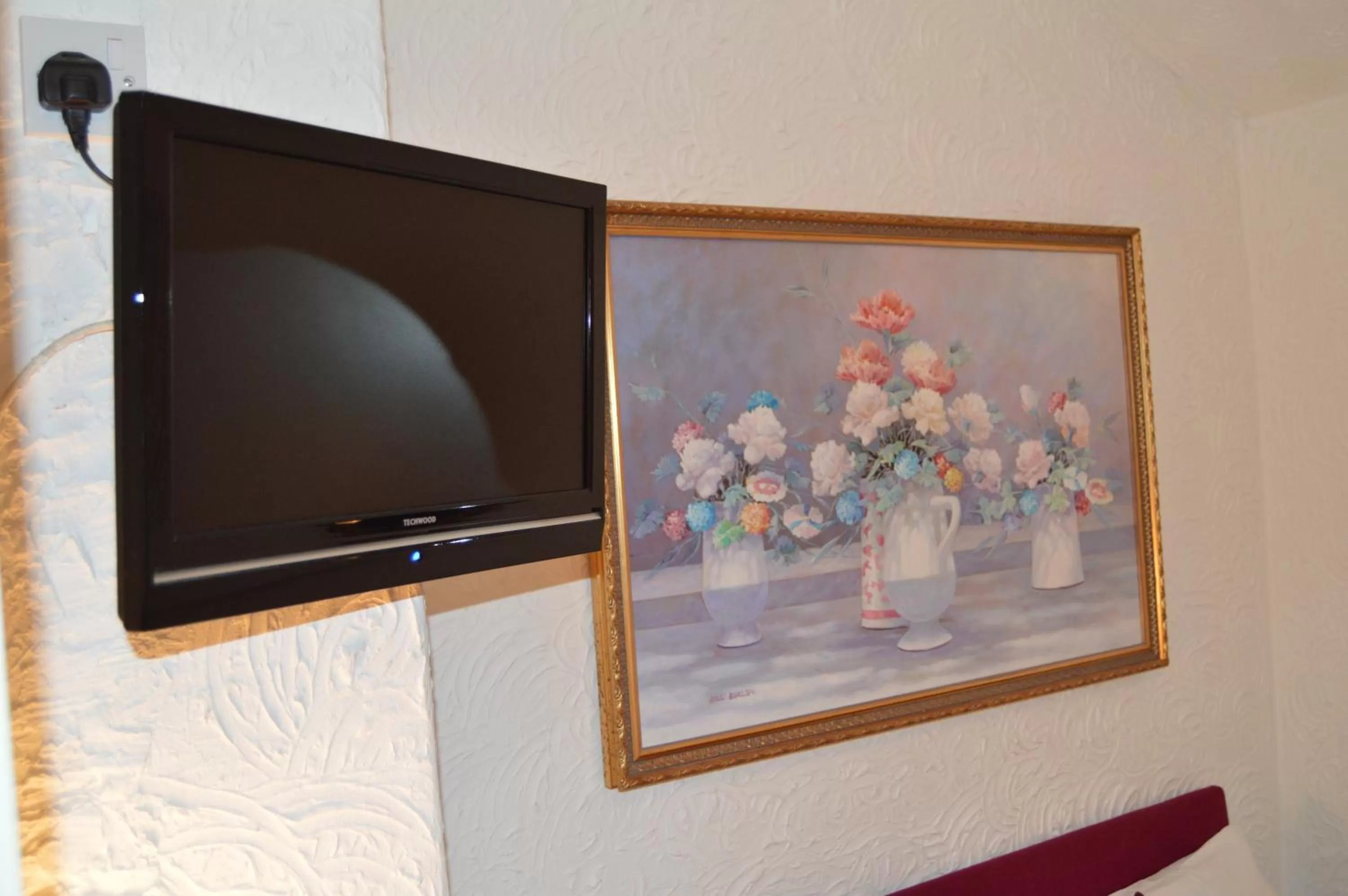 TV and multimedia in Wilsons Hotel - Blackpool Tower View