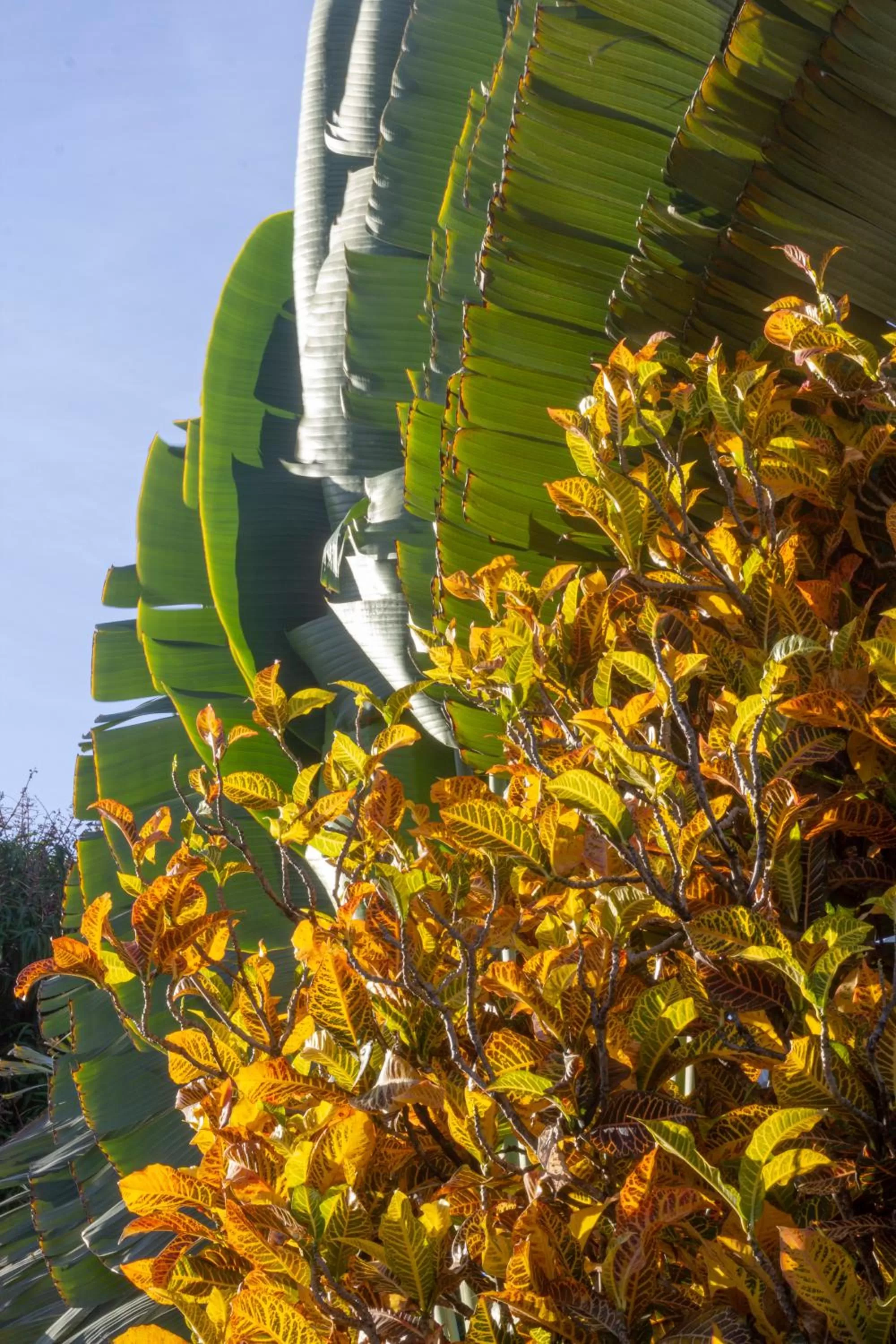 Garden in Casa Valeria Boutique Hotel