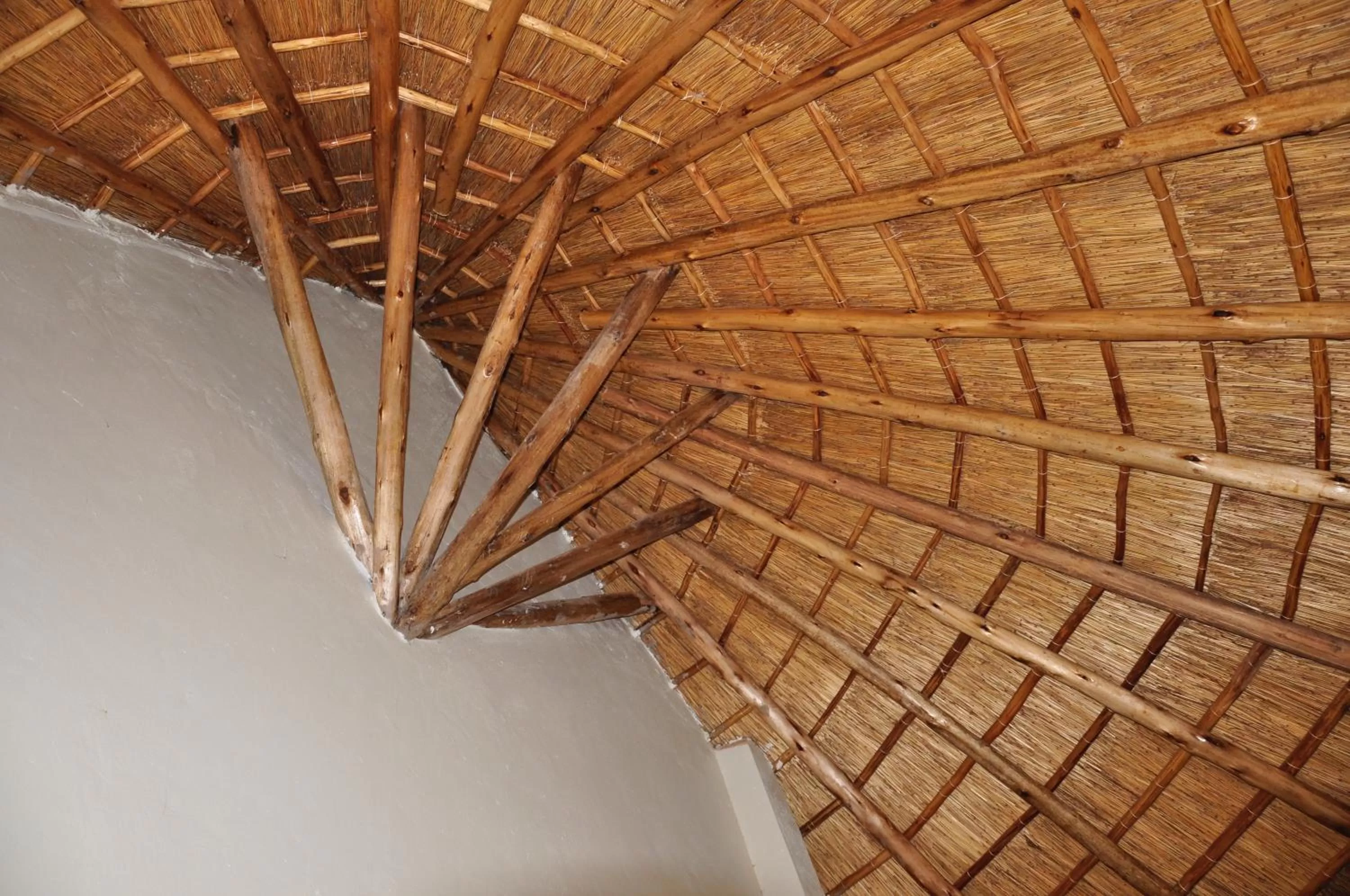 Elite Backpackers Services