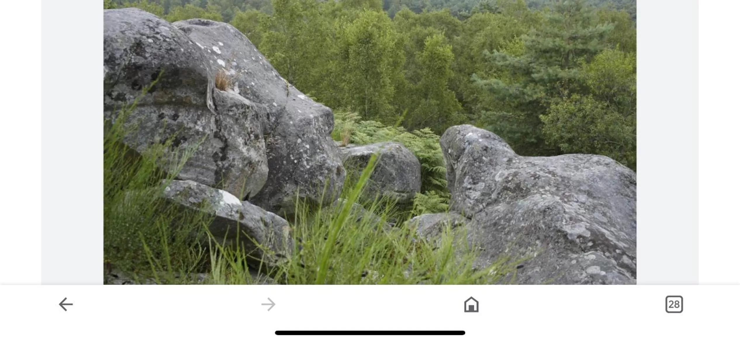 Natural Landscape in Appart Hôtel 3* dans une résidence de tourisme