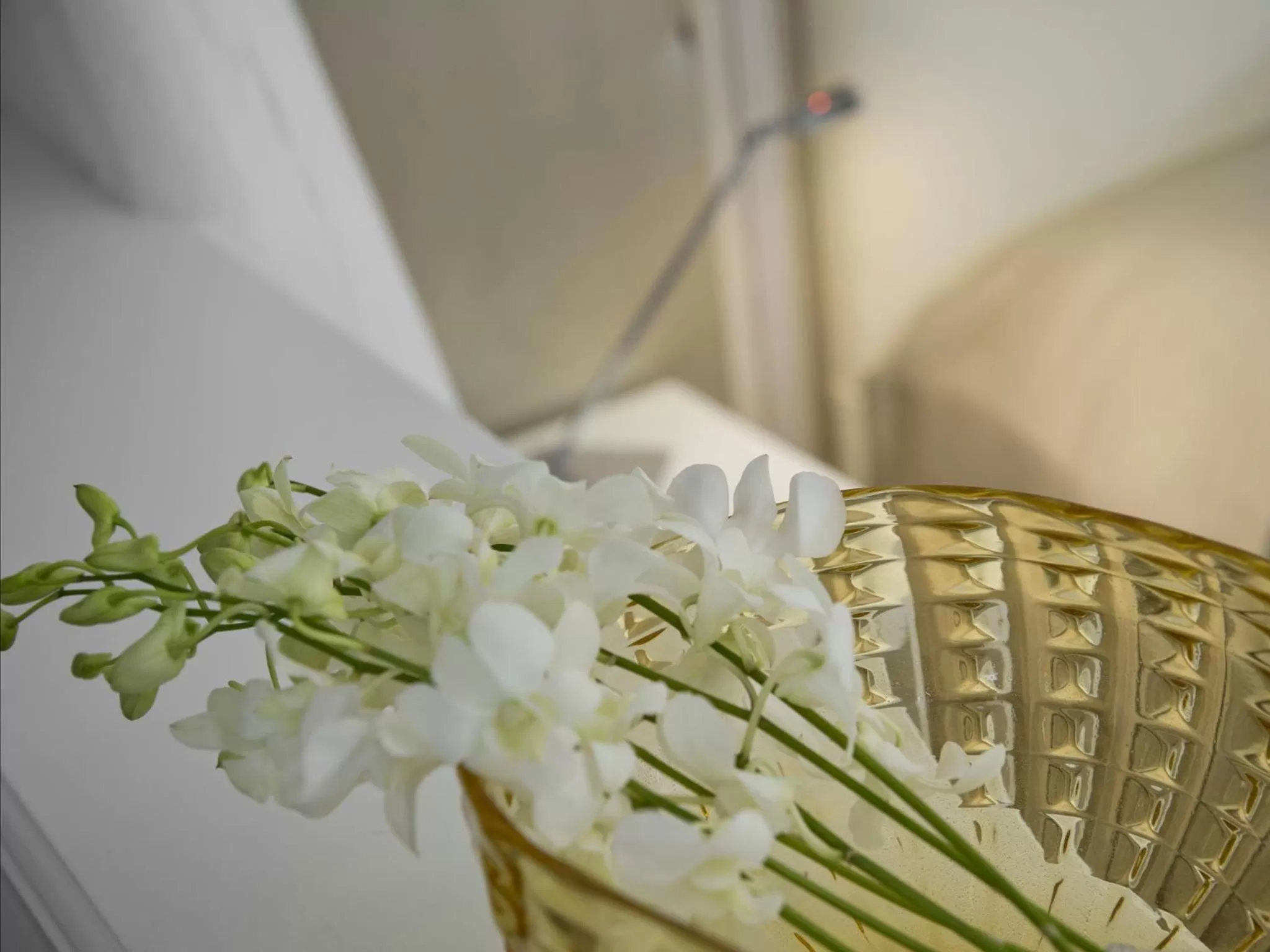 Decorative detail in Hotel Campiello