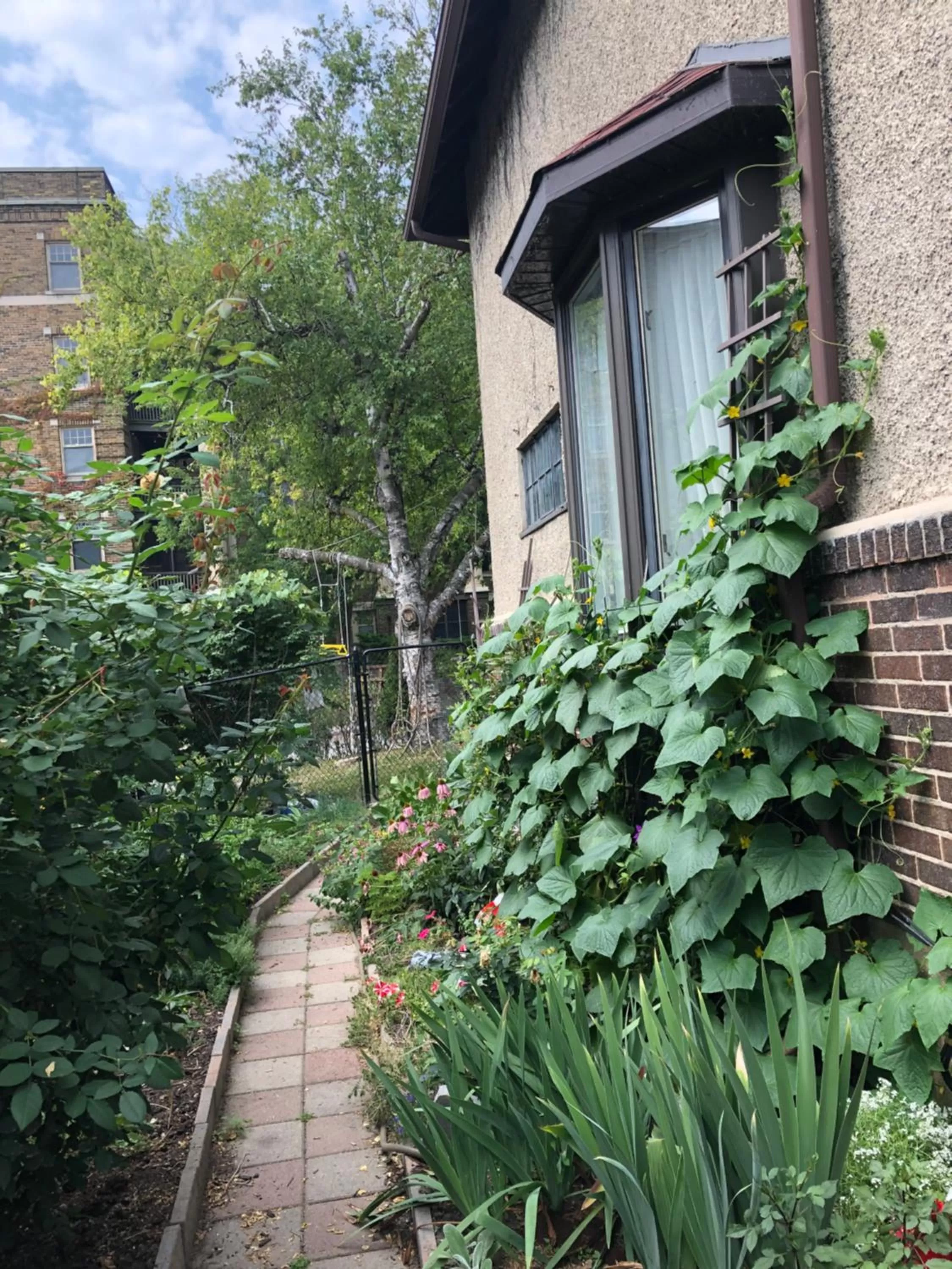 Garden view in The Ambassador