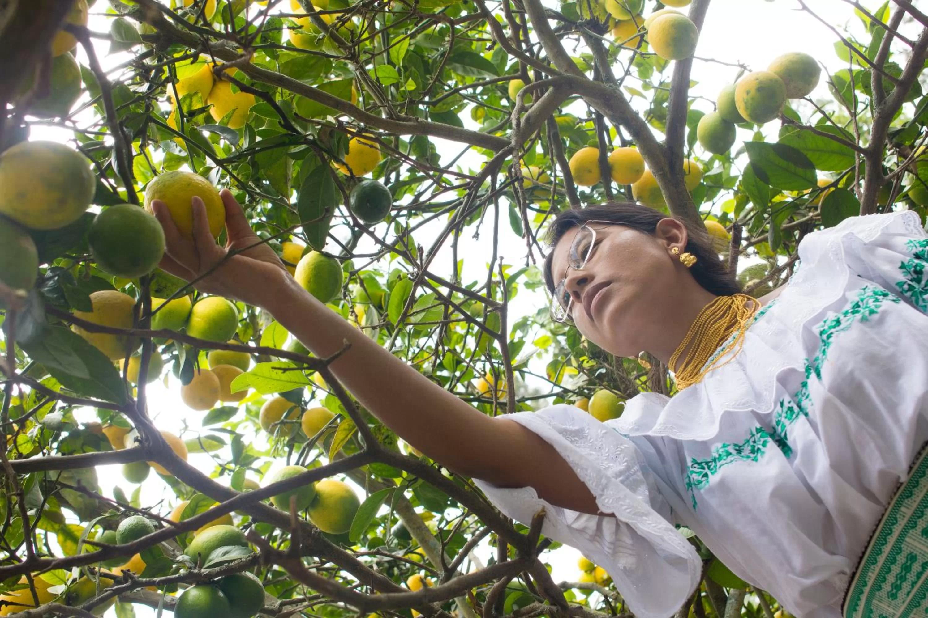 Other in Kallpa Wasi