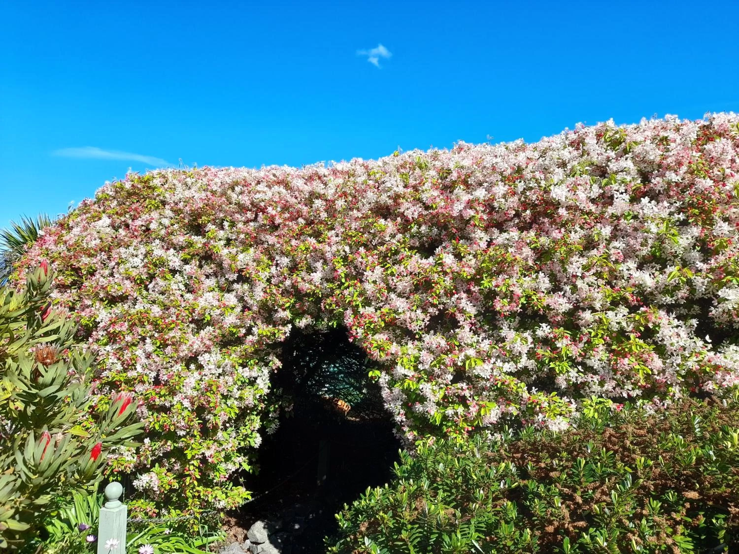 Hillside Bed and Breakfast