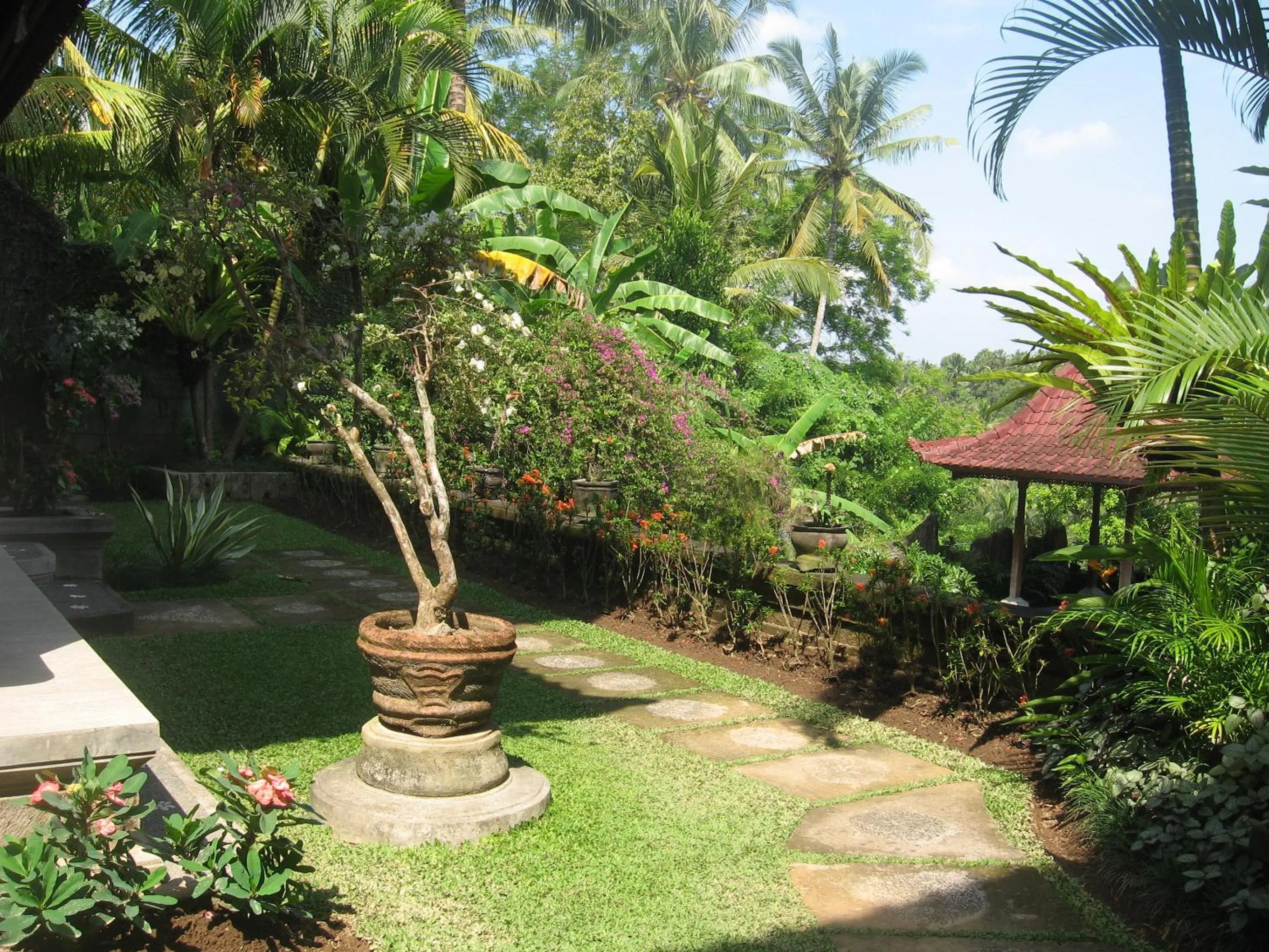 Garden in Nick's Hidden Cottages by Mahaputra-CHSE Certified