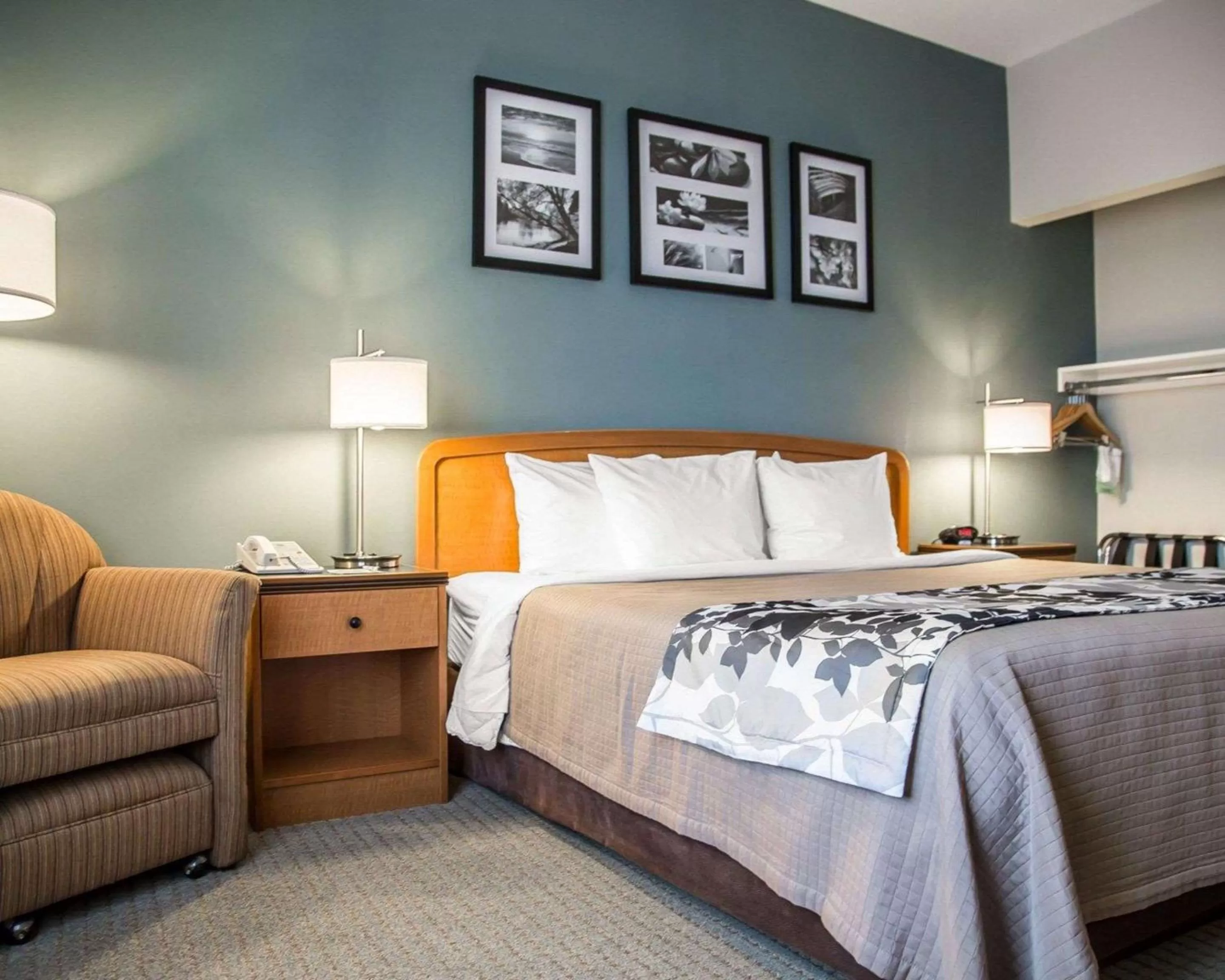 Photo of the whole room, Bed in Sleep Inn & Suites Davenport - Quad Cities