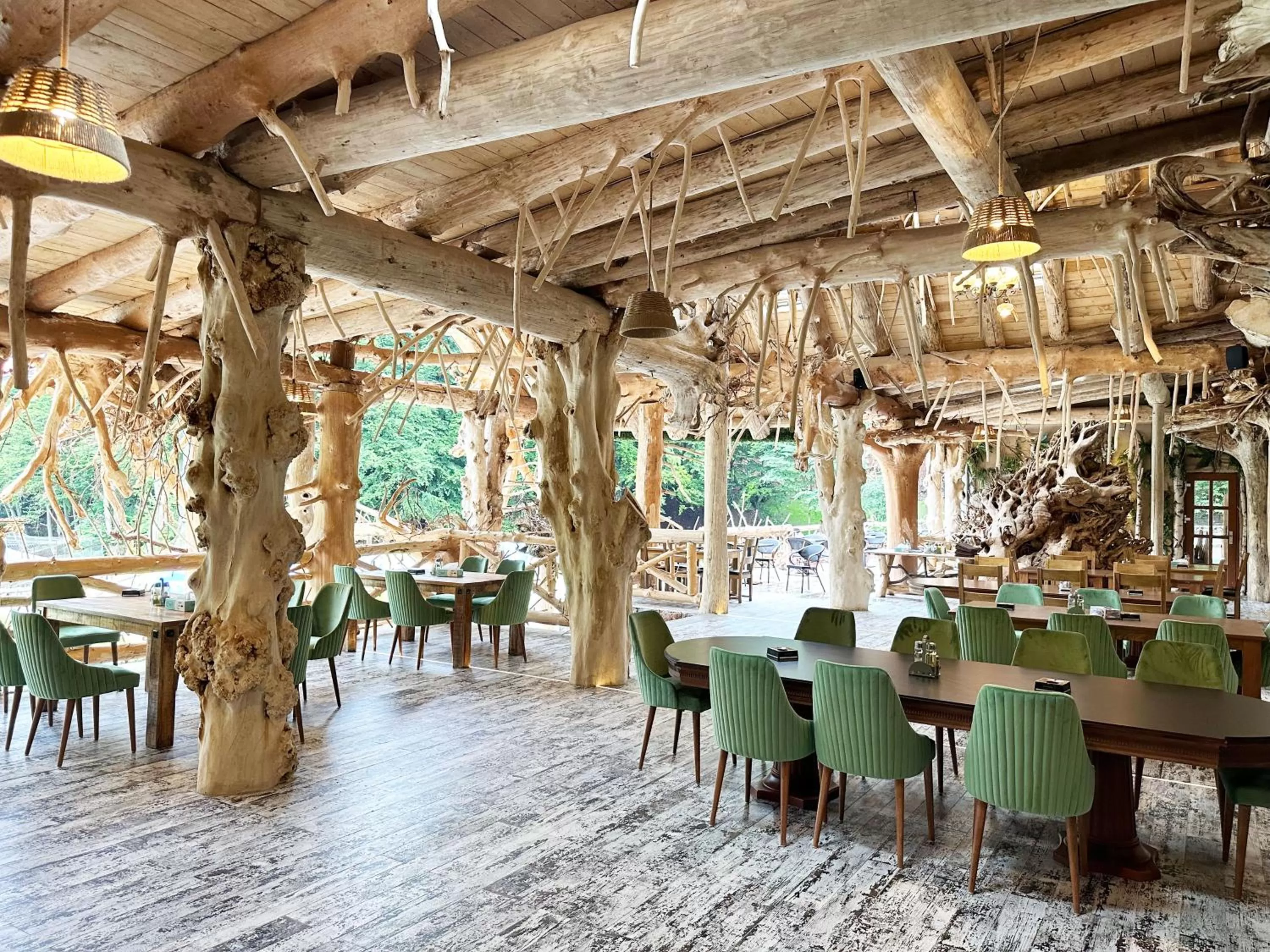 Restaurant/places to eat in Conacul Radacinilor