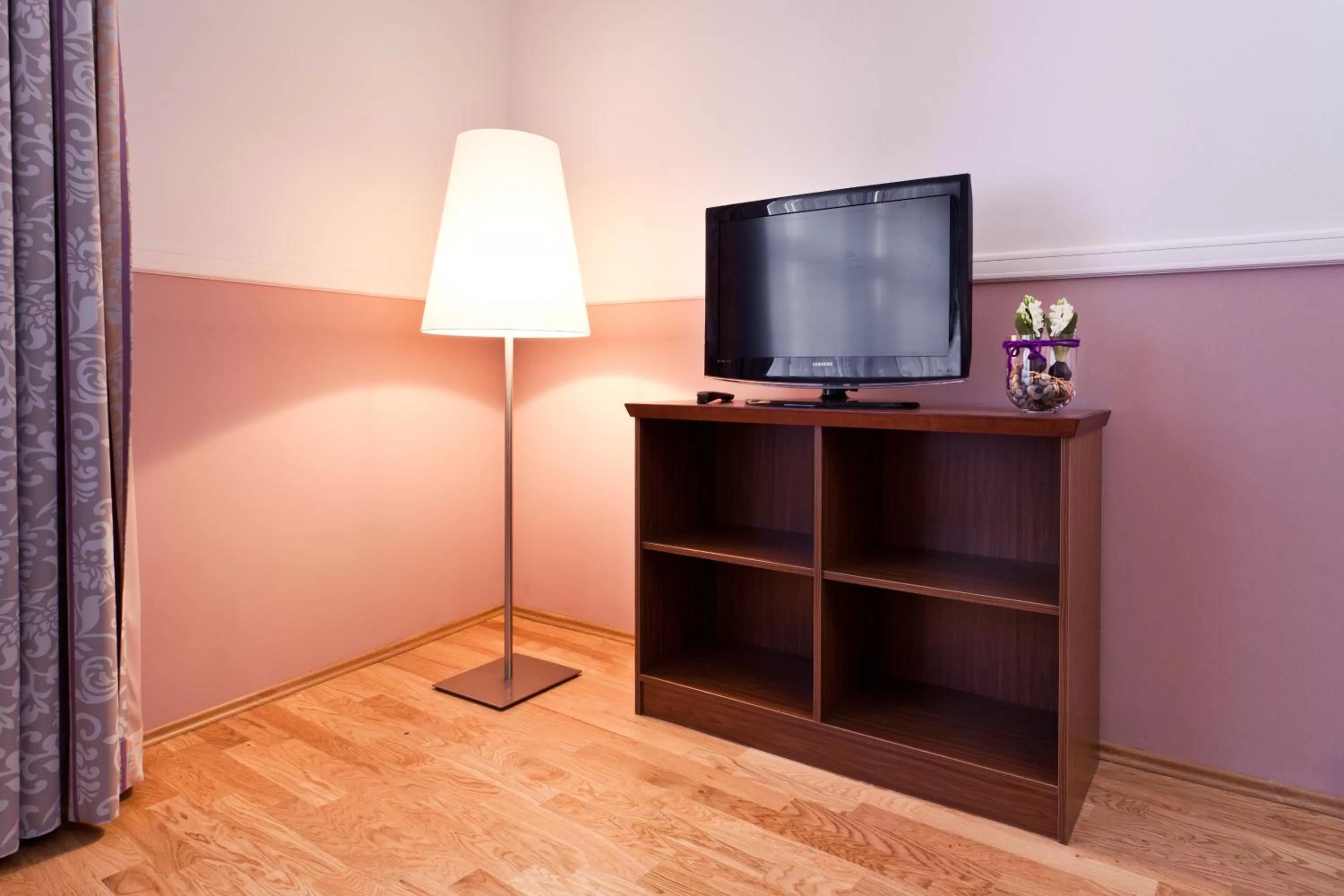 TV and multimedia in Aparthotel Am Schloss