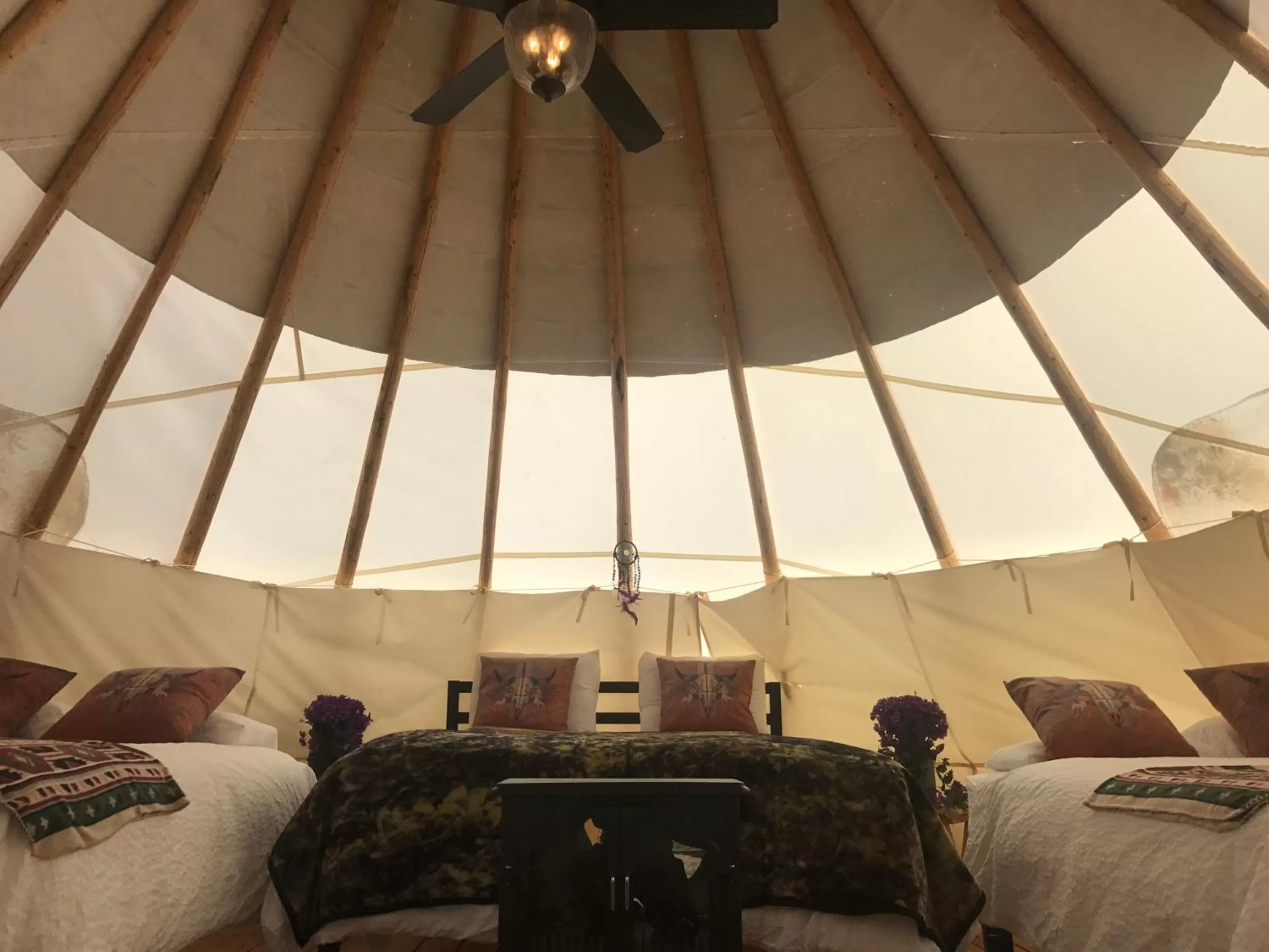 Photo of the whole room, Bed in Olancha RV Park and Motel