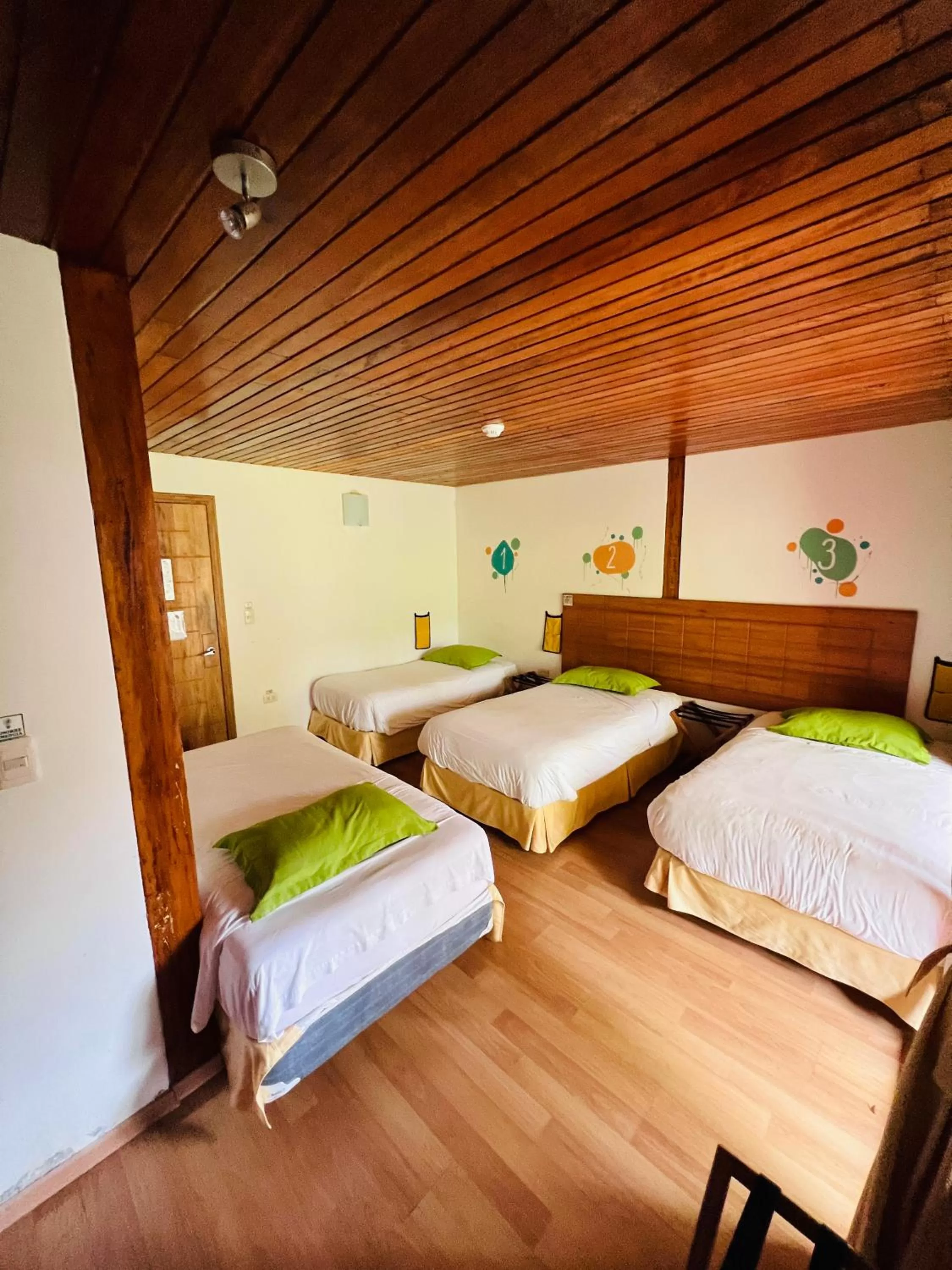 Single Bed in Dormitory Room in Mama Tungu hostel