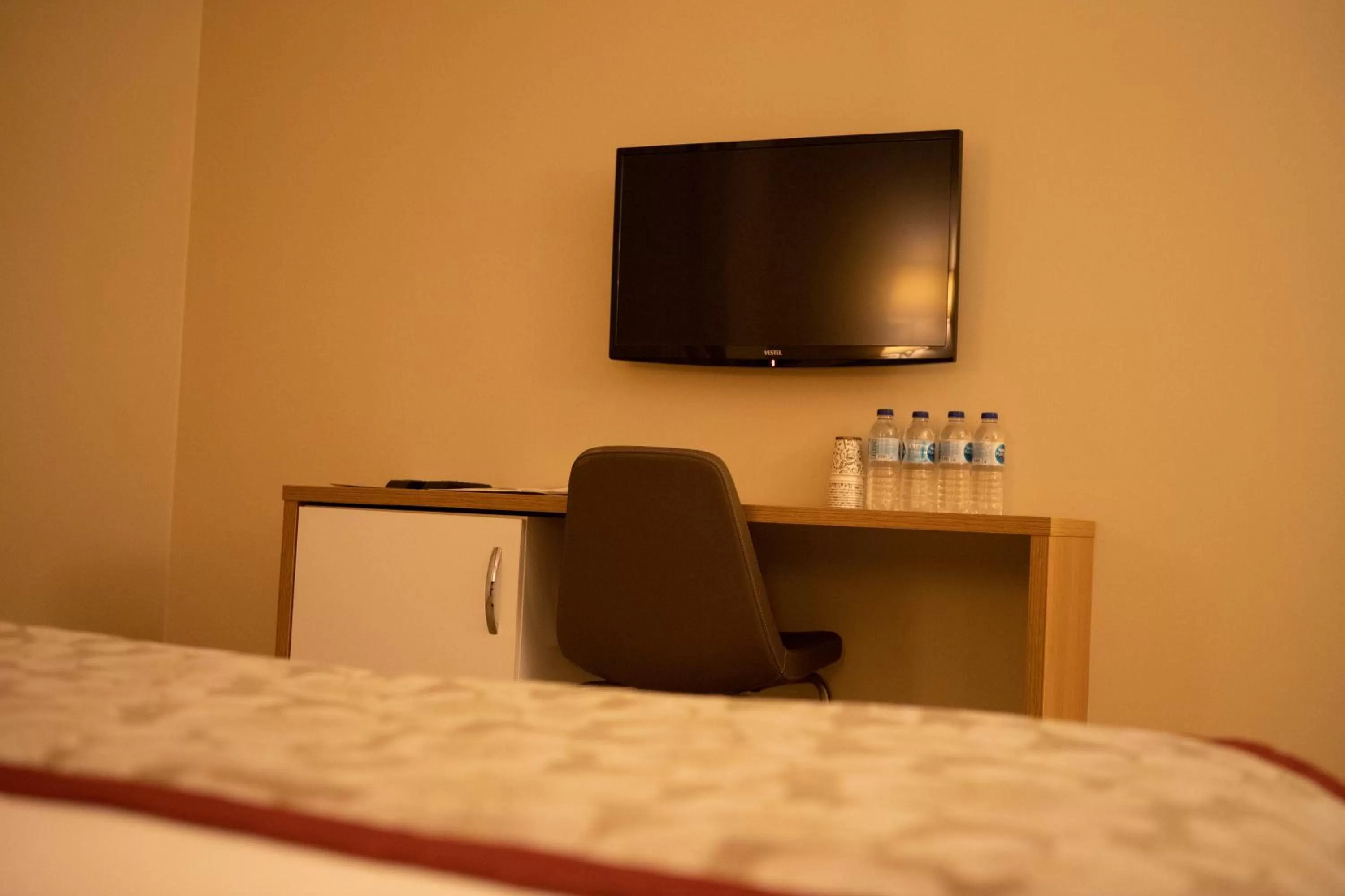 Communal lounge/ TV room in Trakya City Hotel
