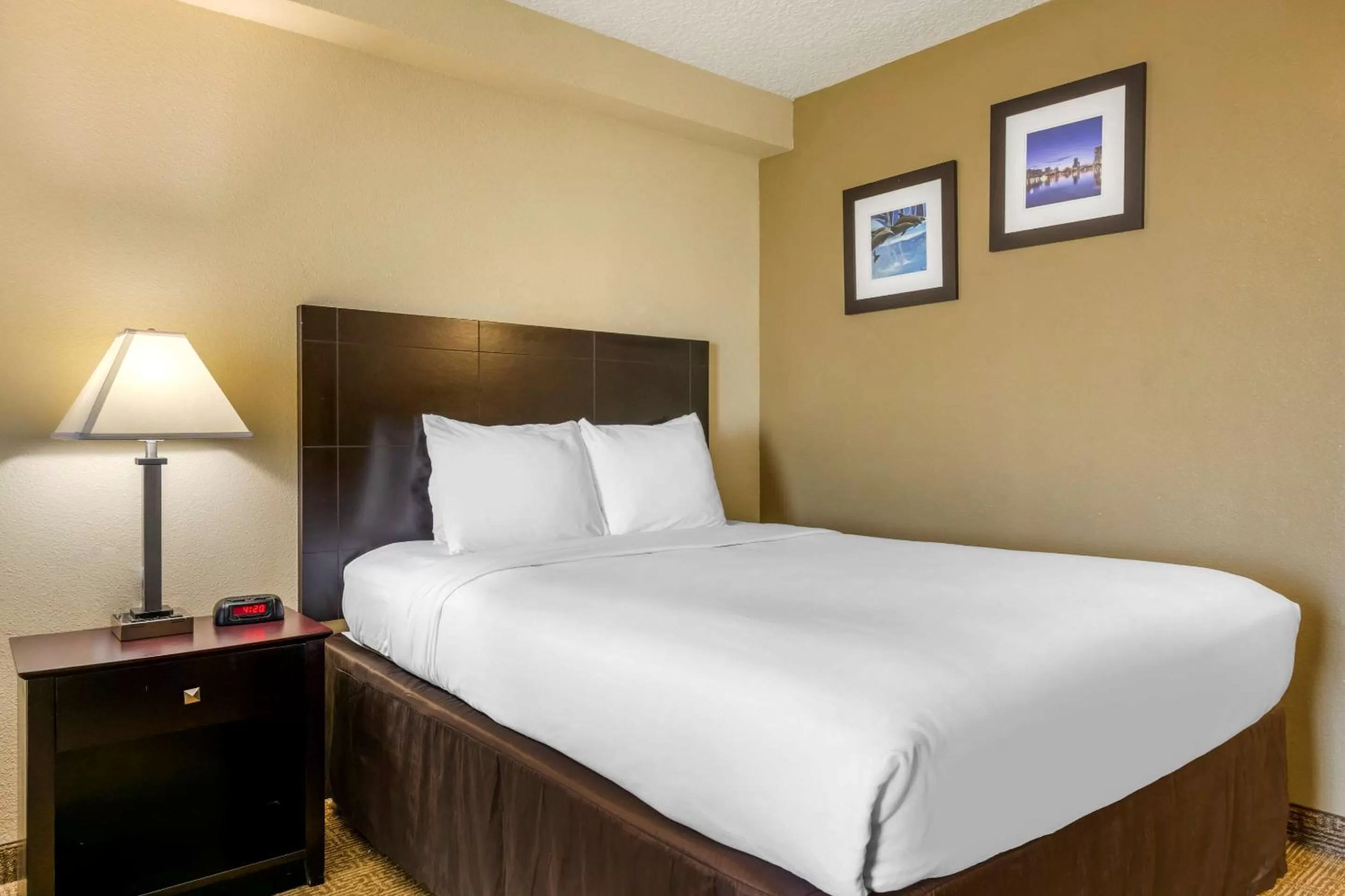Photo of the whole room, Bed in Comfort Inn International Drive