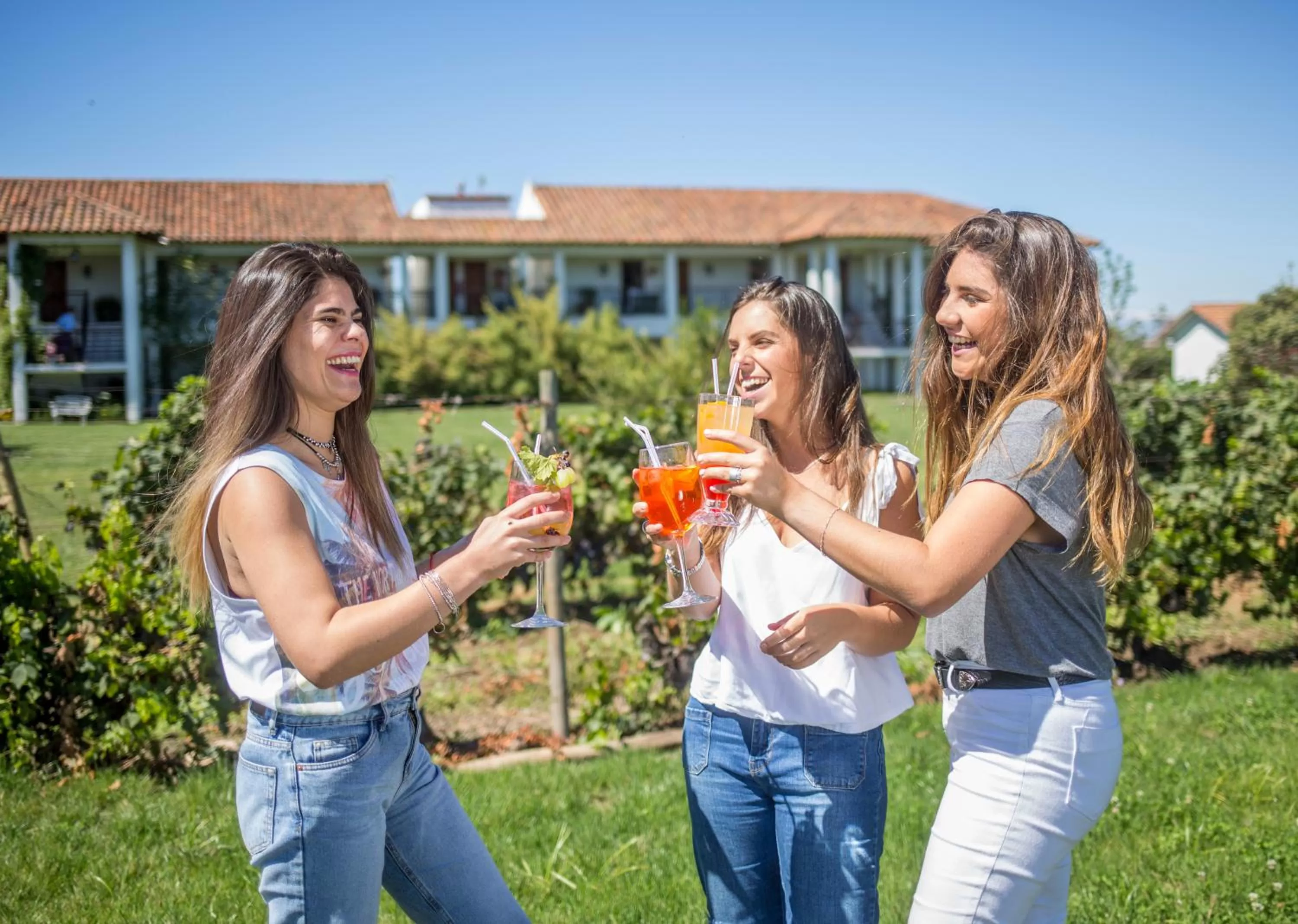 Restaurant/places to eat in Hotel Terraviña