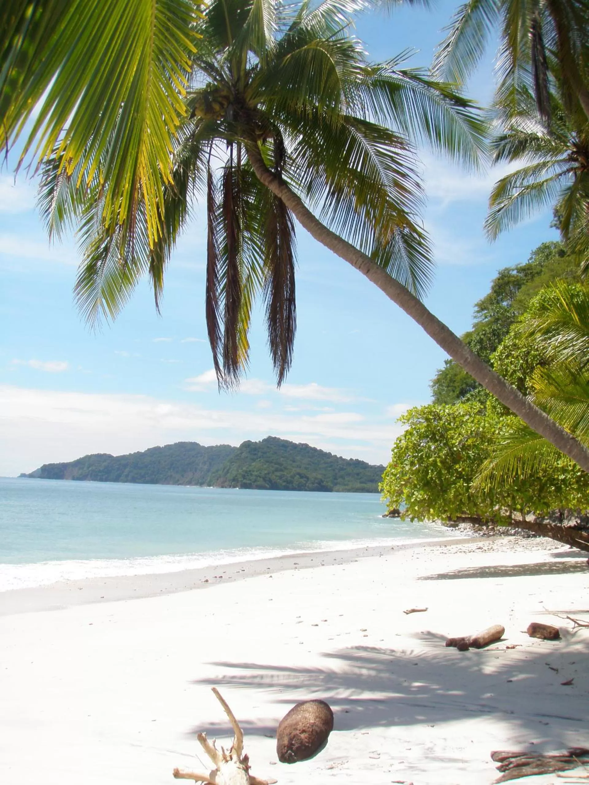 Area and facilities in Eco Boutique Hotel Vista Las Islas Reserva Natural