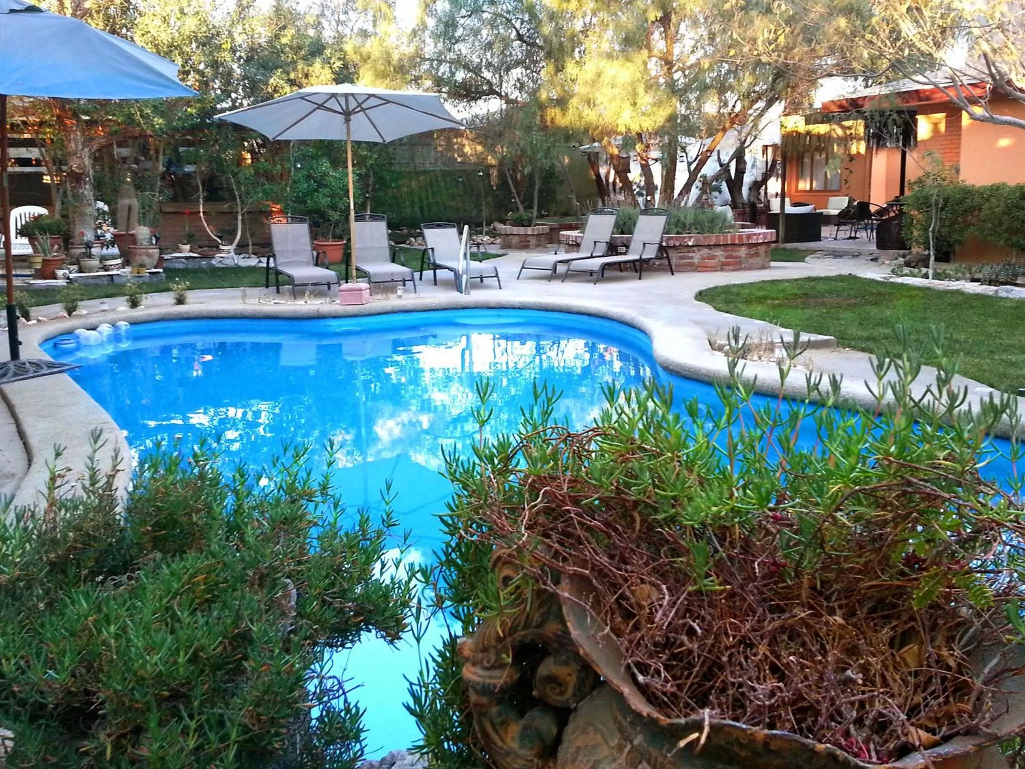 Spring, Swimming Pool in Atankalama