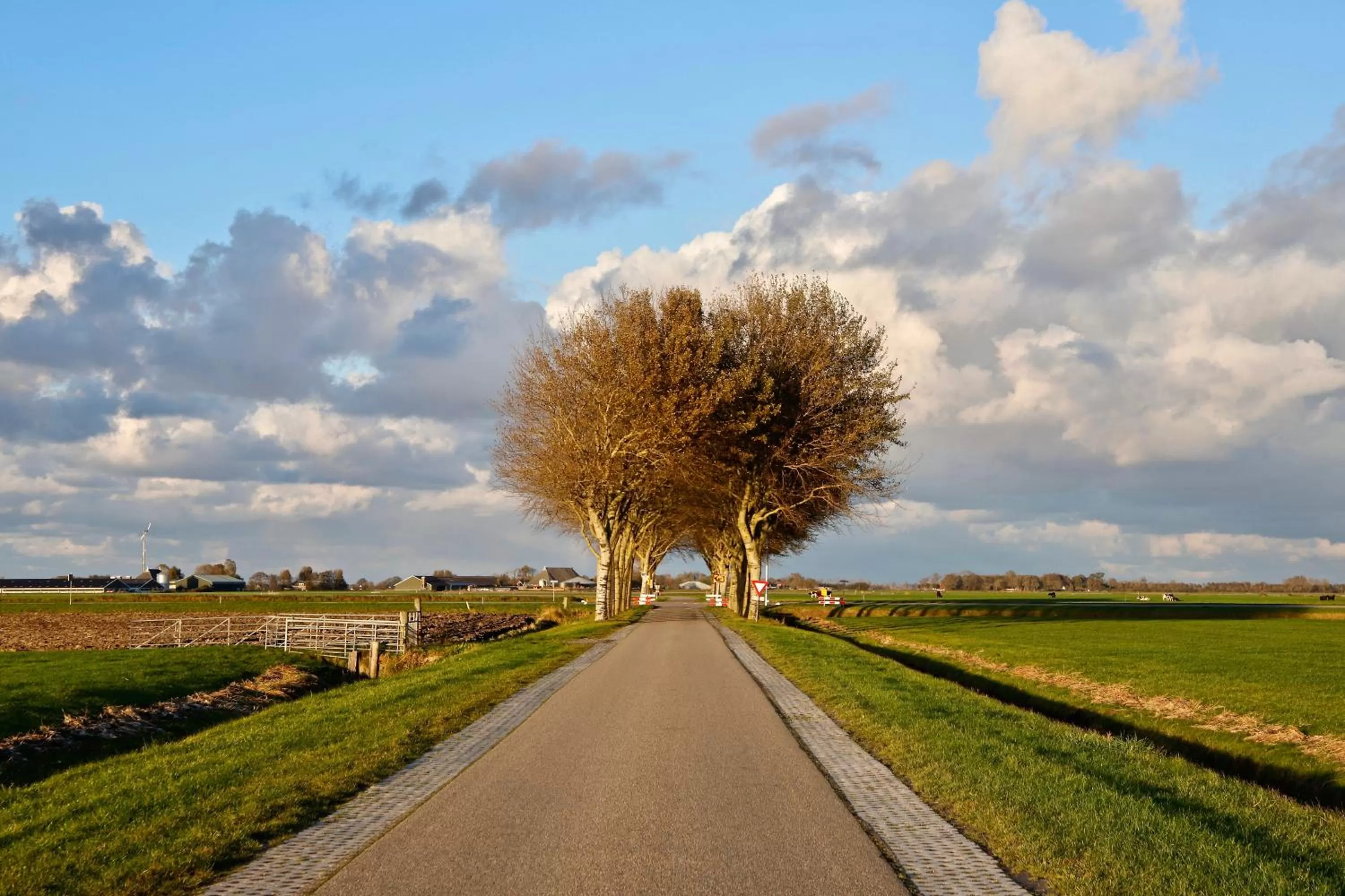 Neighbourhood in B & B Marrum Hotel Marrum