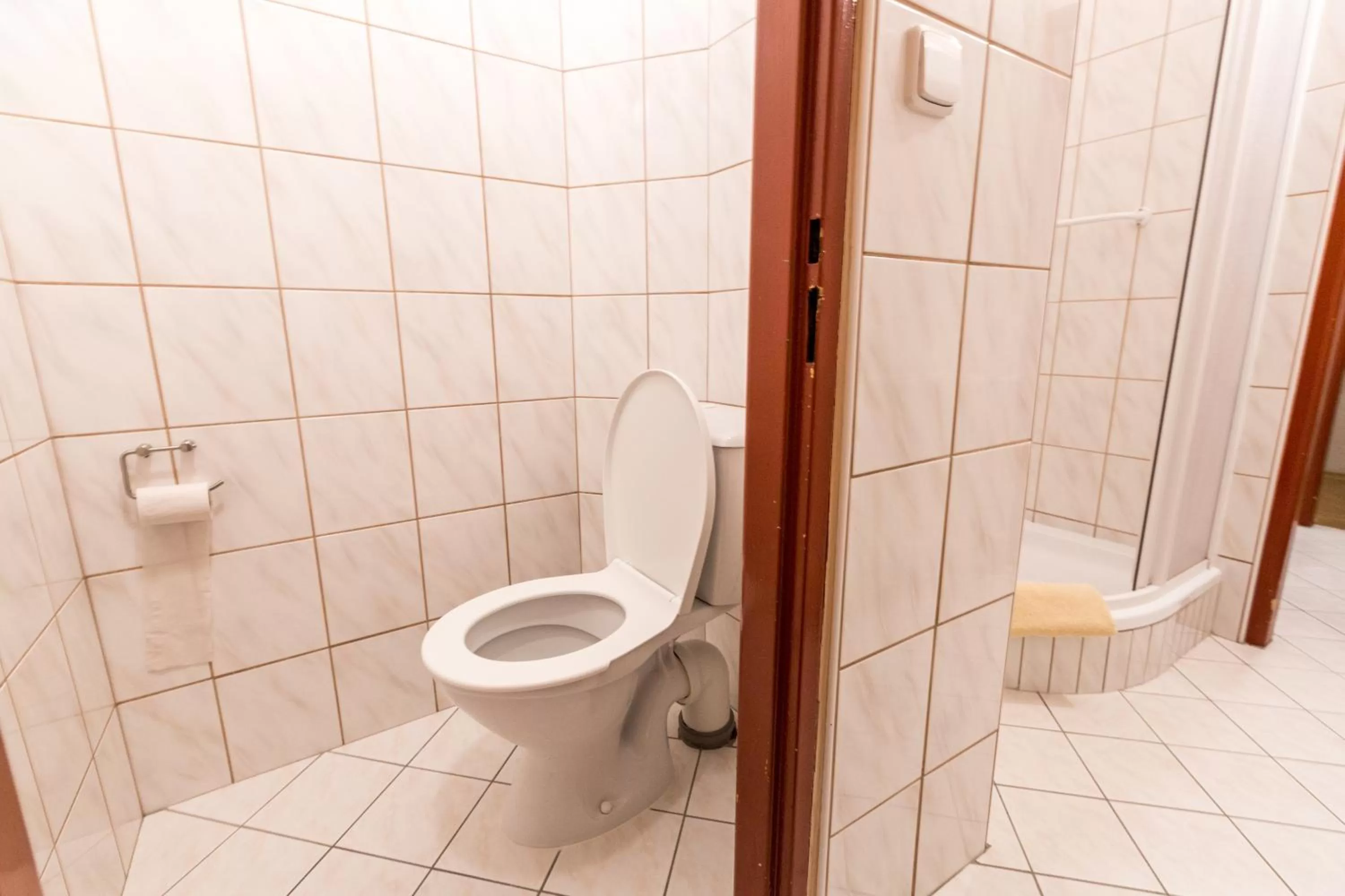 Toilet in Hotel Gradl