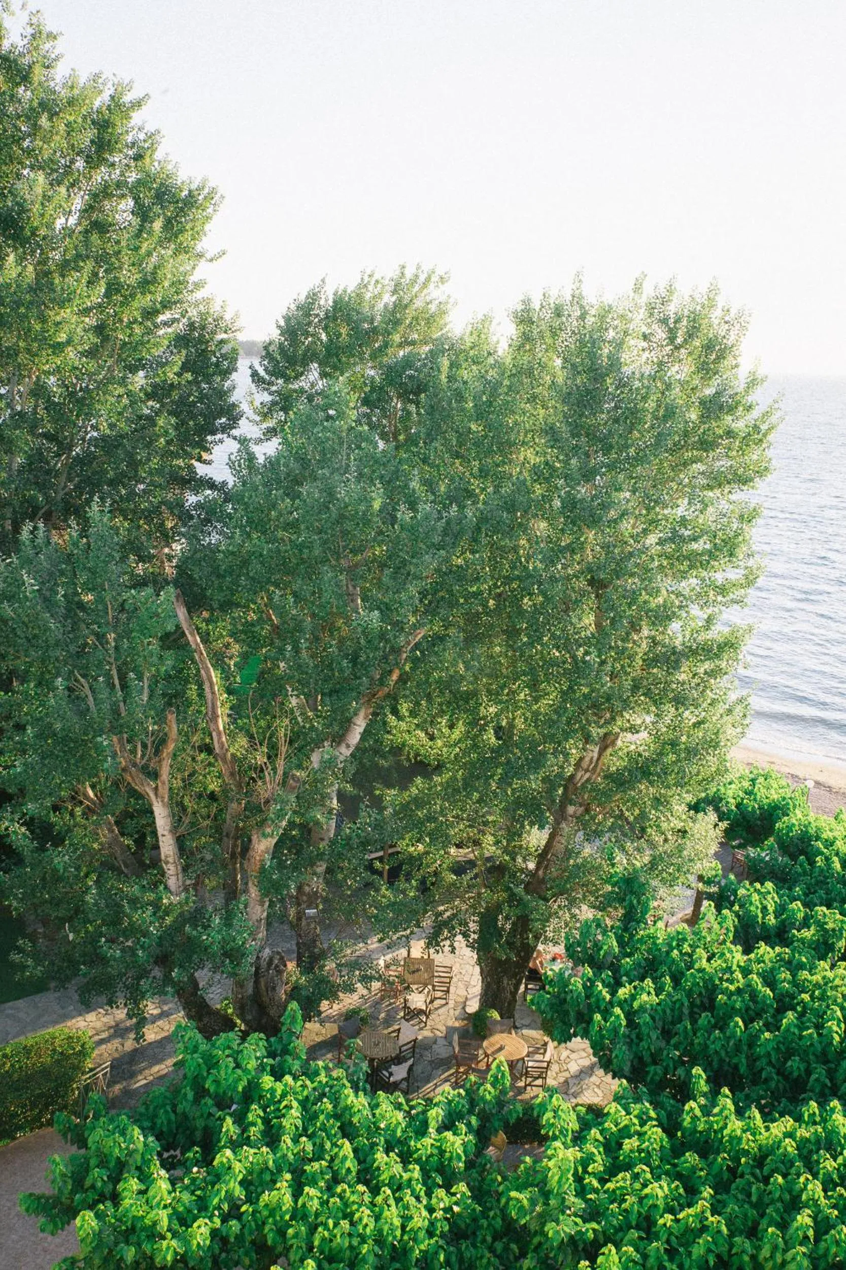 Restaurant/places to eat in Tzaki hotel & restaurant Patras