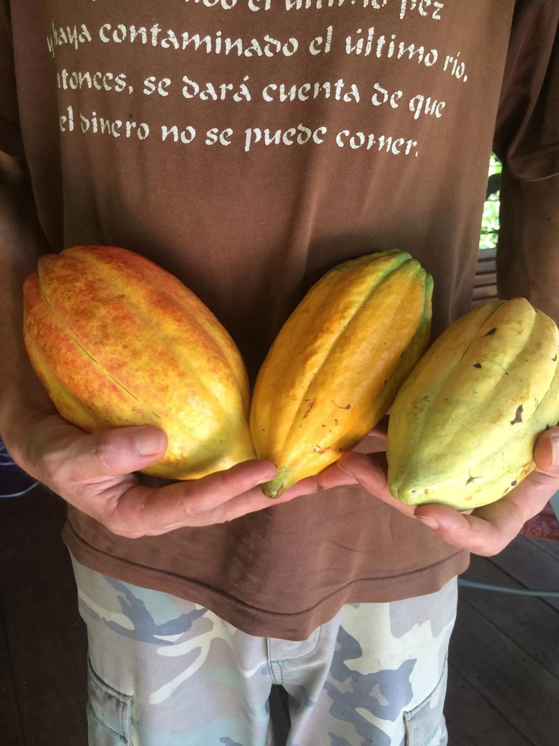 Other in Sun Creek Lodge