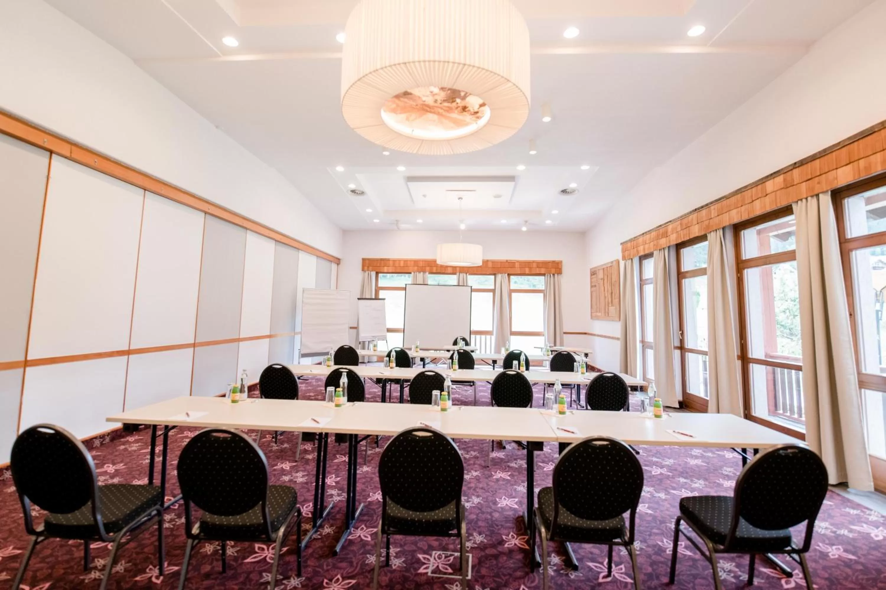 Business facilities in Vitalhotel Gosau