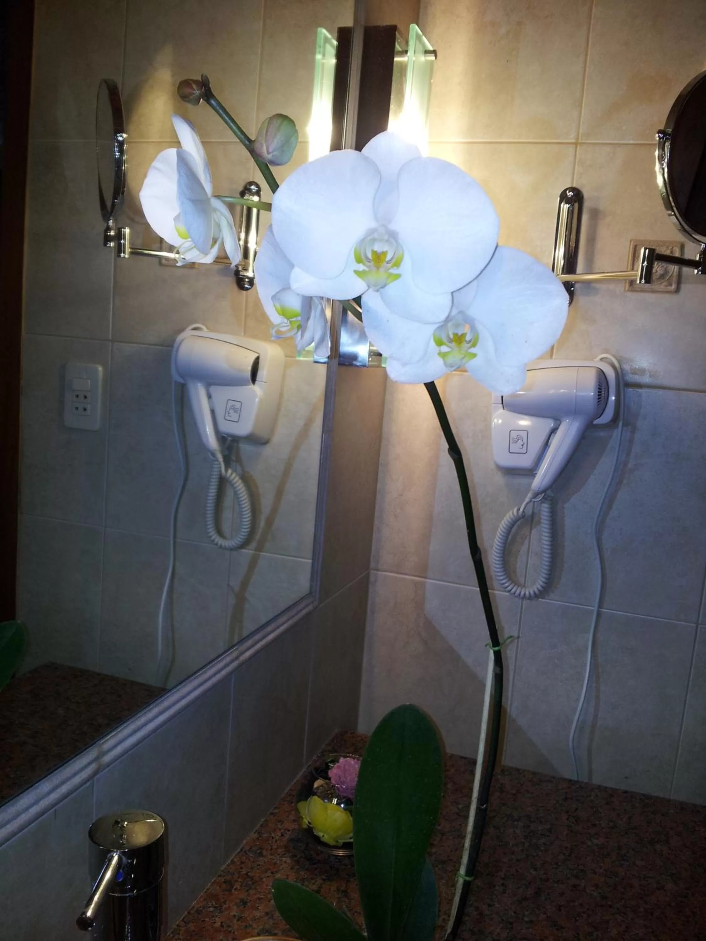 Double Room - single occupancy in Villa Floreal Hotel Boutique