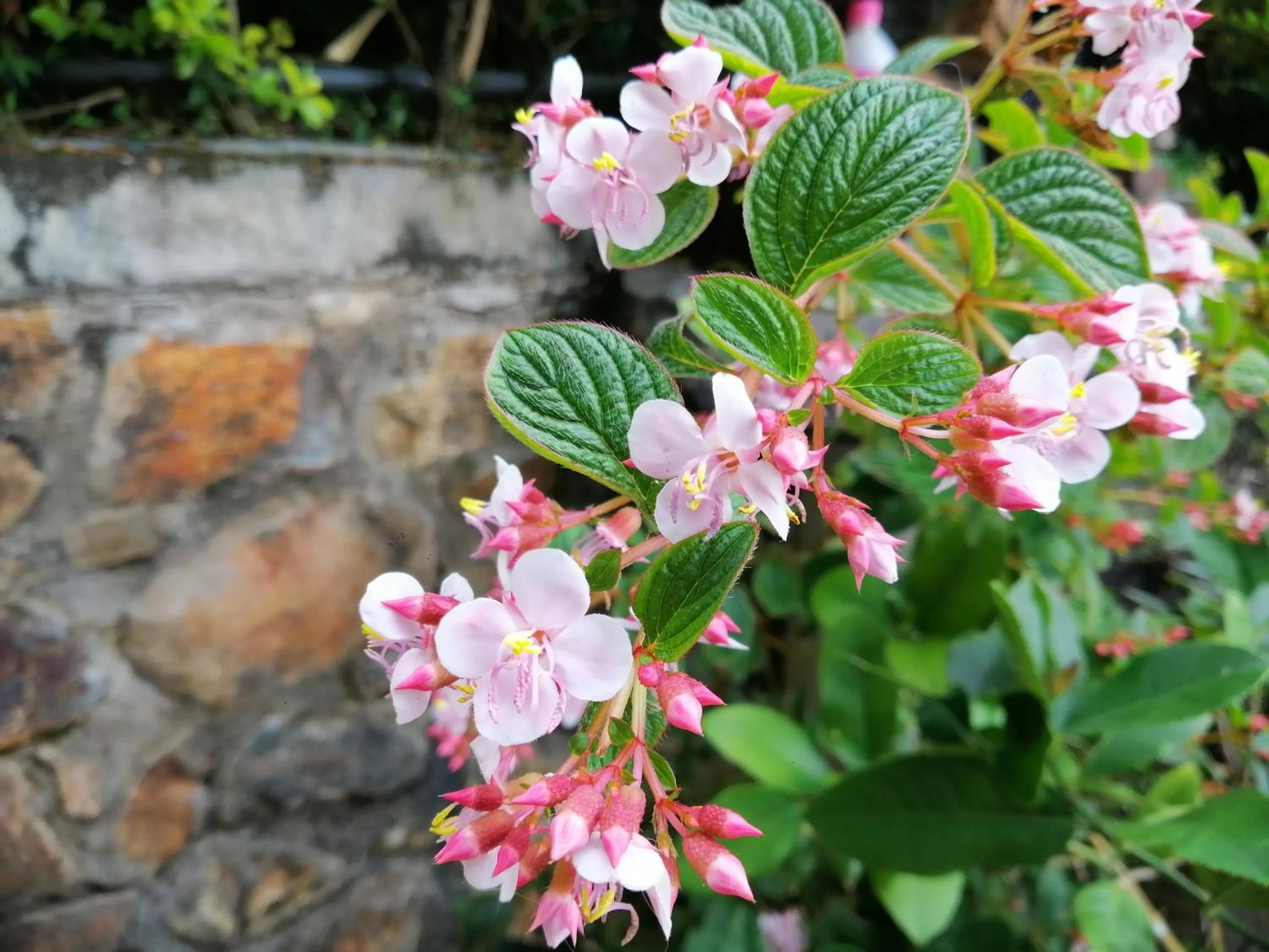 Decorative detail in Zion View Ella Green Retreat