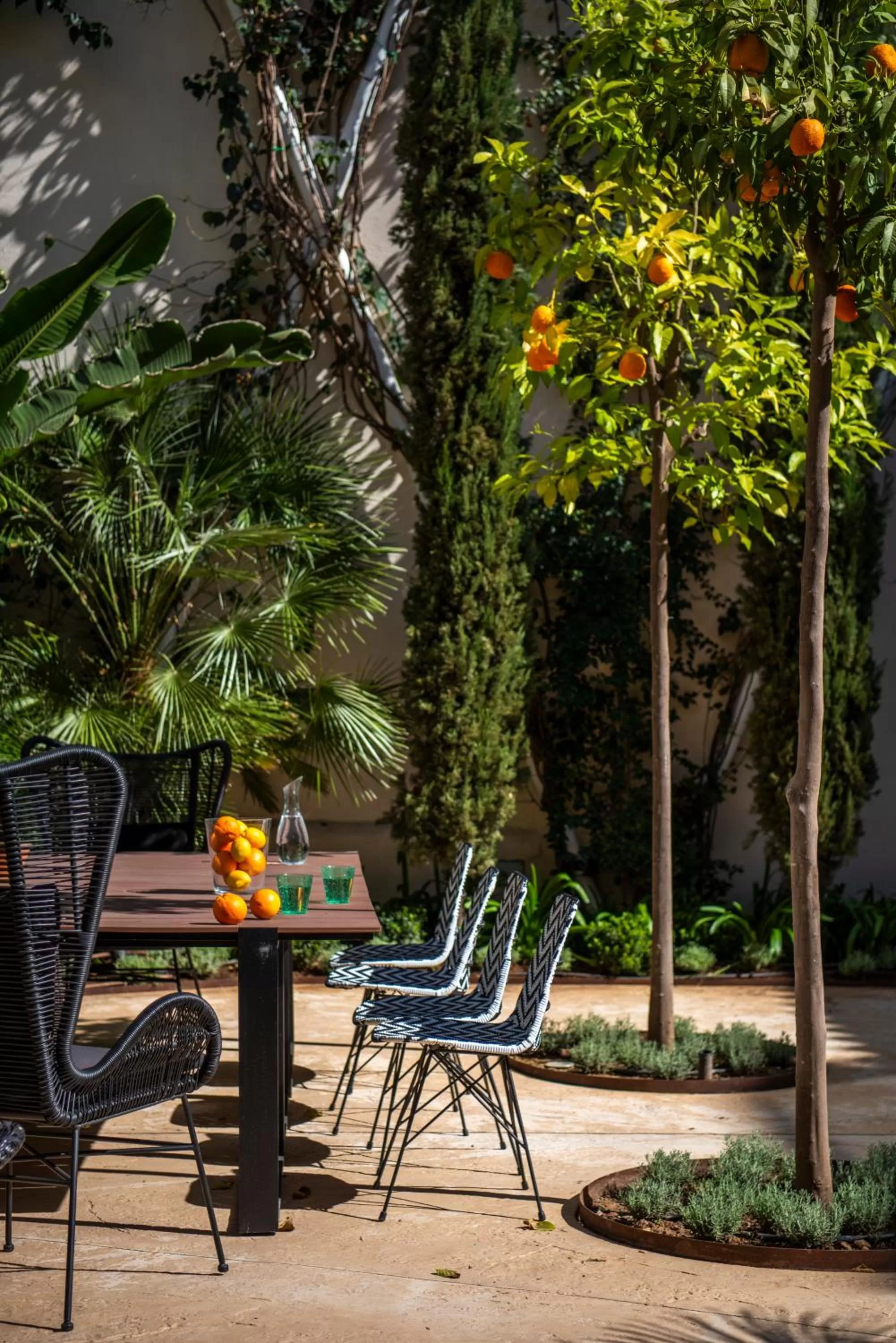 Garden in Pájaro Rebelde