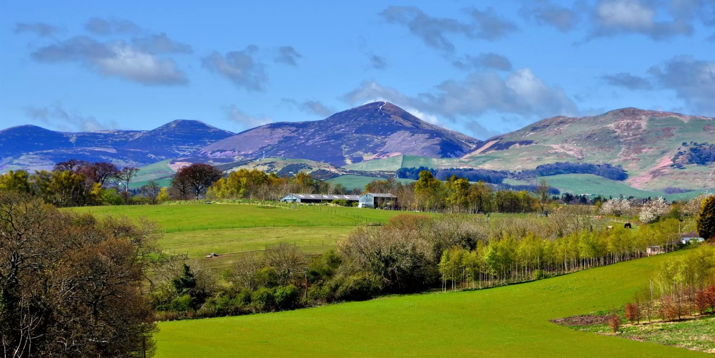 Mountain view in Peggyslea Farm B&B