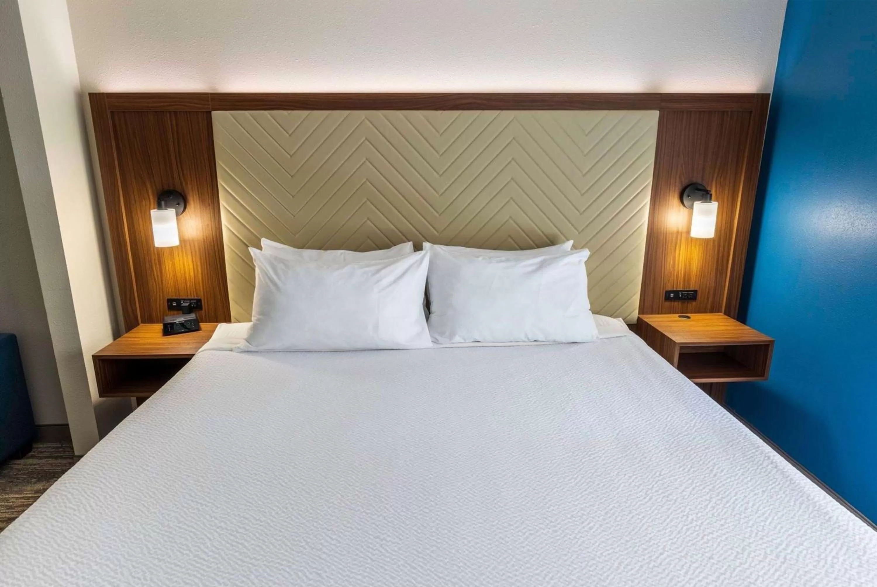 Photo of the whole room, Bed in Wingate by Wyndham Lafayette Airport