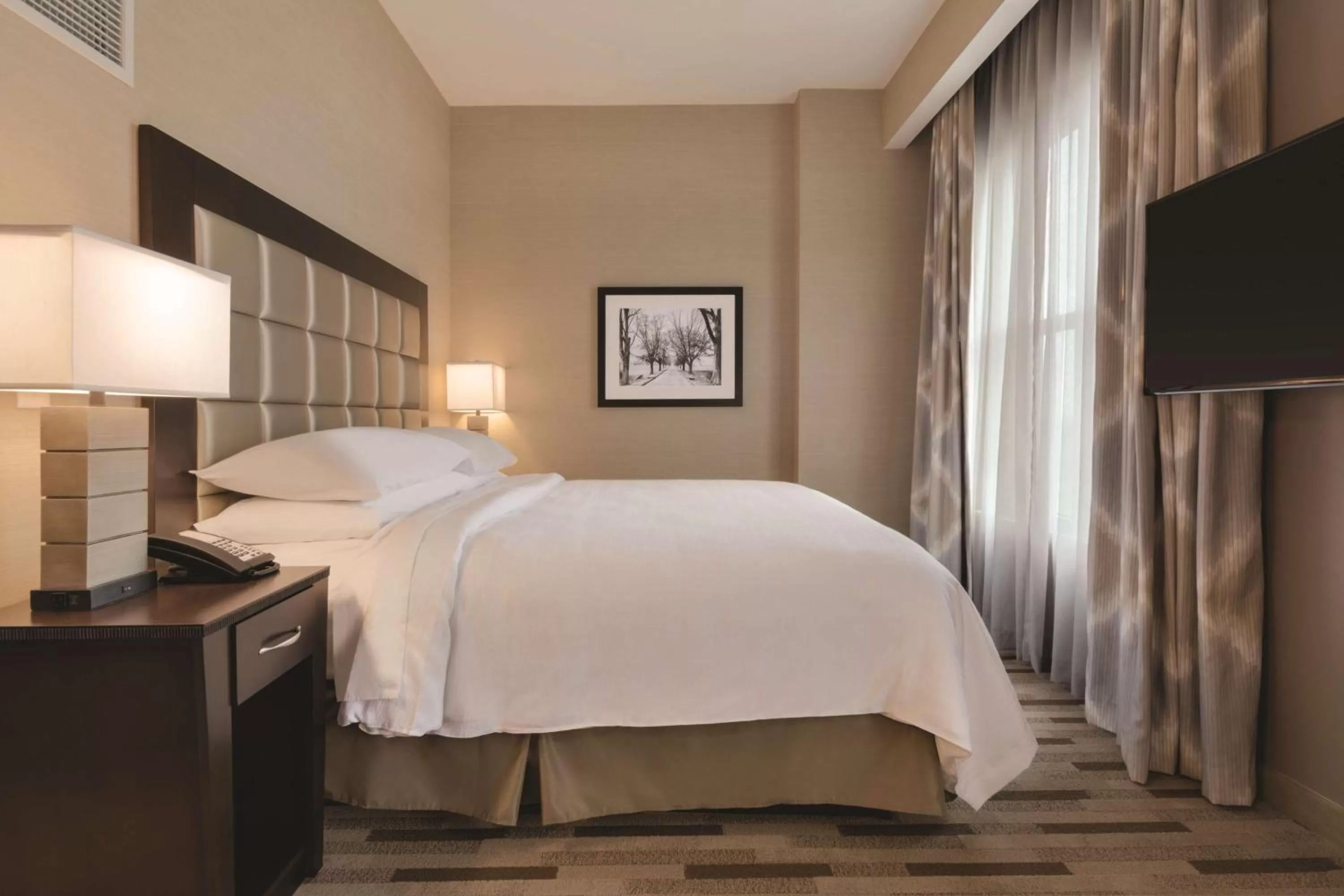 Bed in Embassy Suites by Hilton Tuscaloosa Alabama Downtown