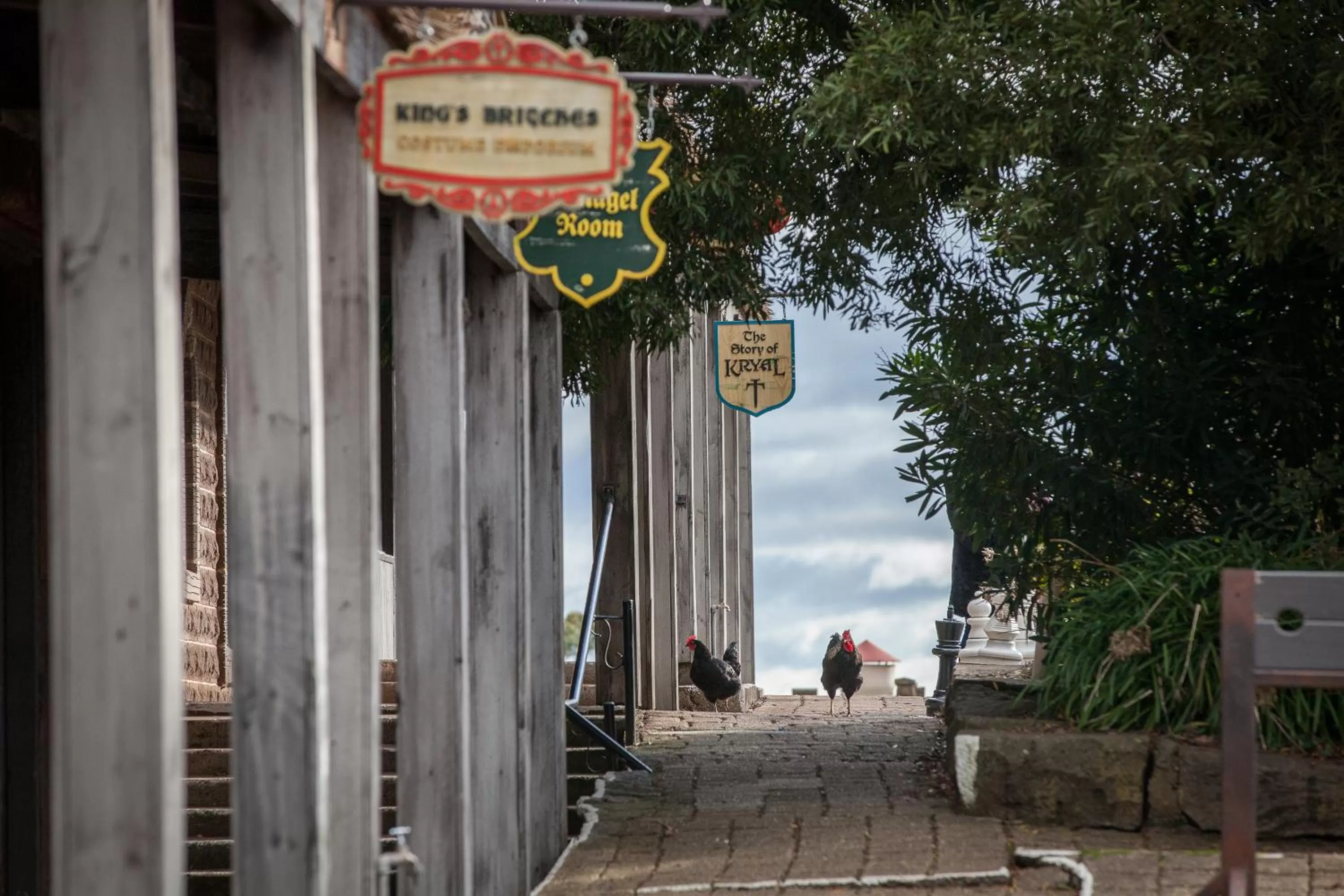 Garden in Kryal Castle Ballarat