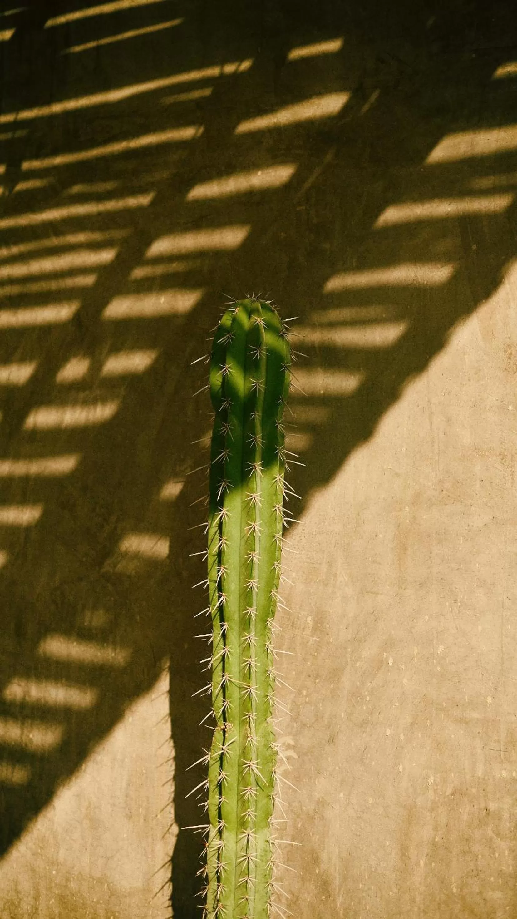 Day in Aldea Paraíso - Adults only - Boutique hotel