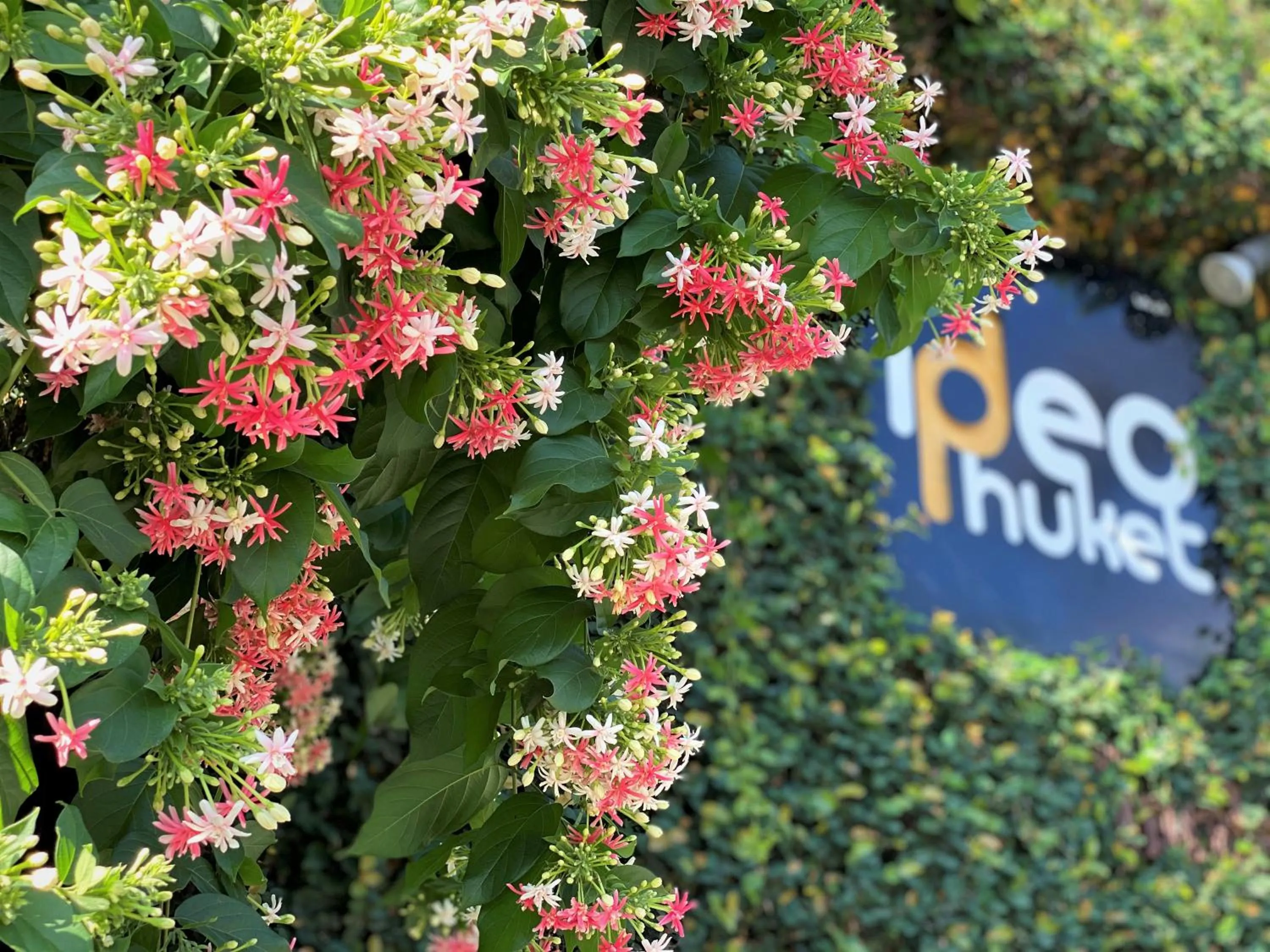 Property logo or sign in Ideo Phuket Hotel - Naiyang Beach