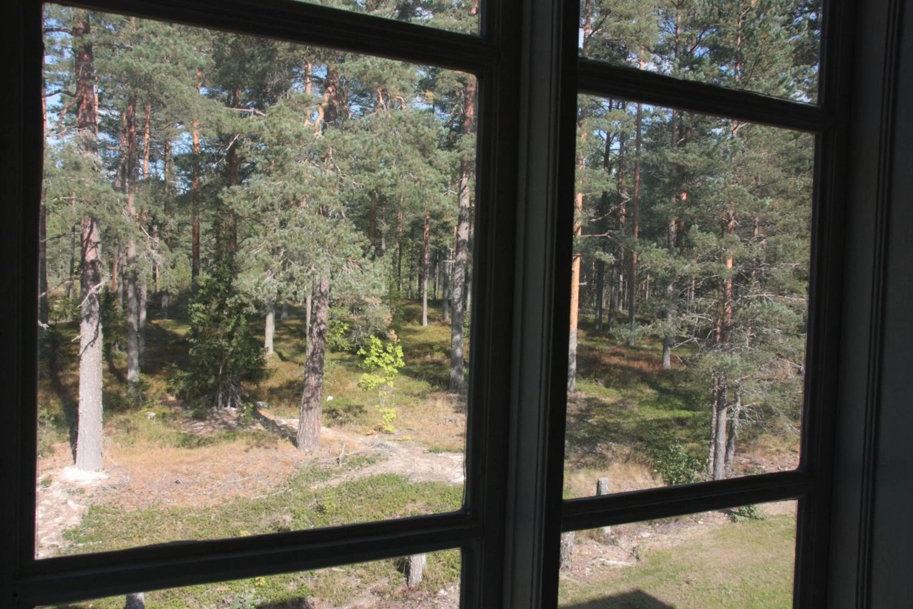 View (from property/room) in Hedenstugan B&B Hotel