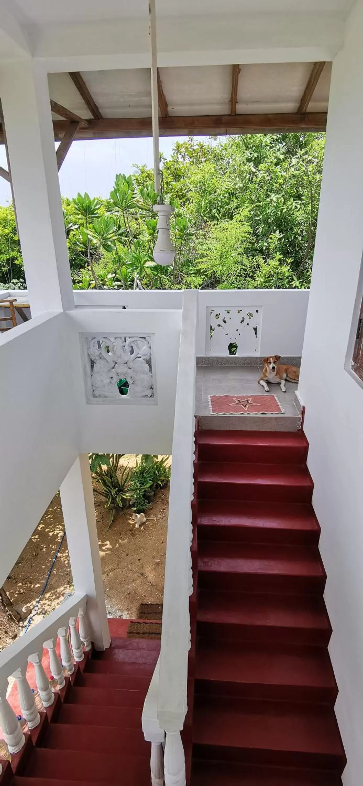 Property building in Blackstar Inn