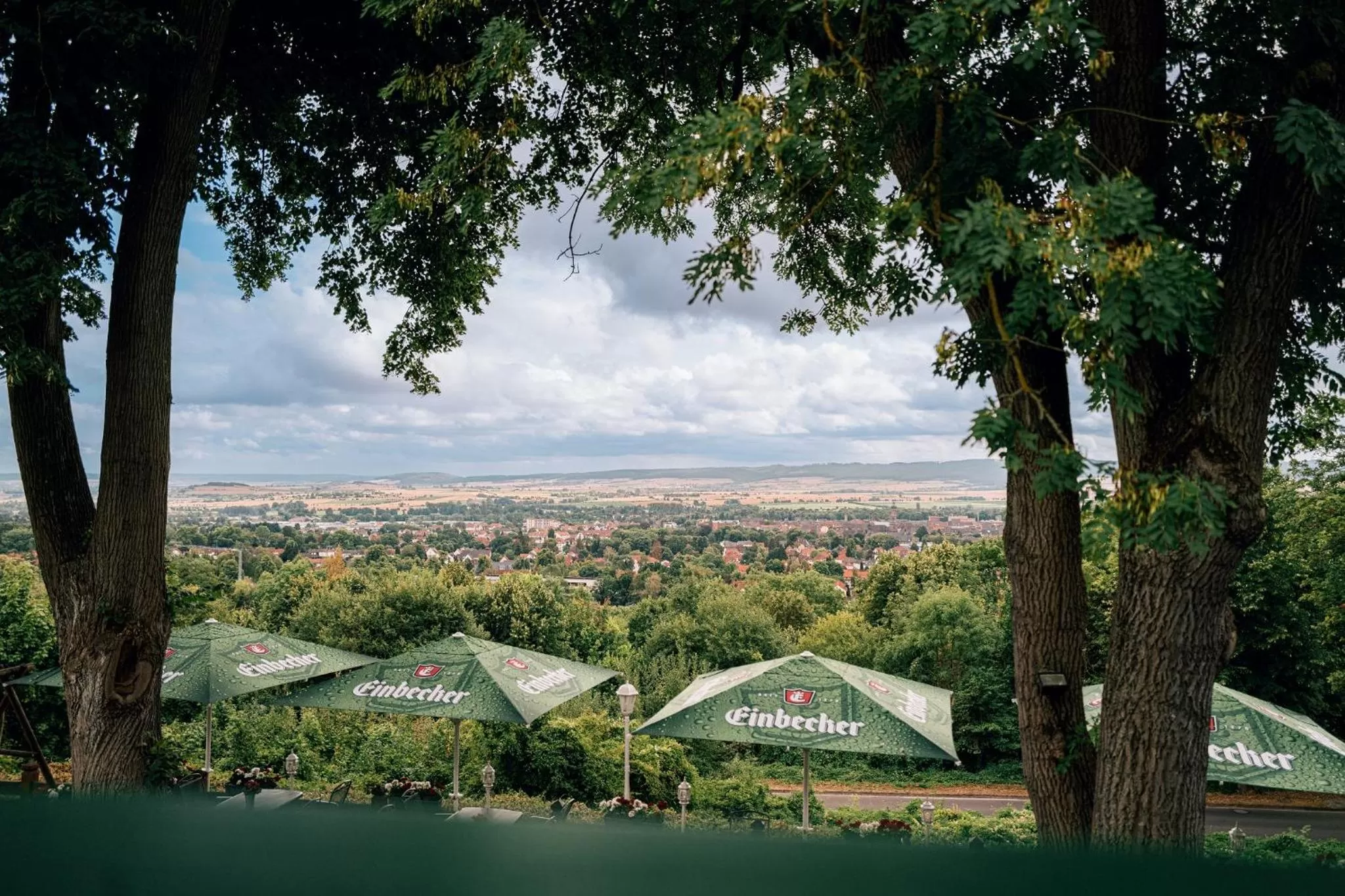 Natural landscape in Hotel Hasenjäger