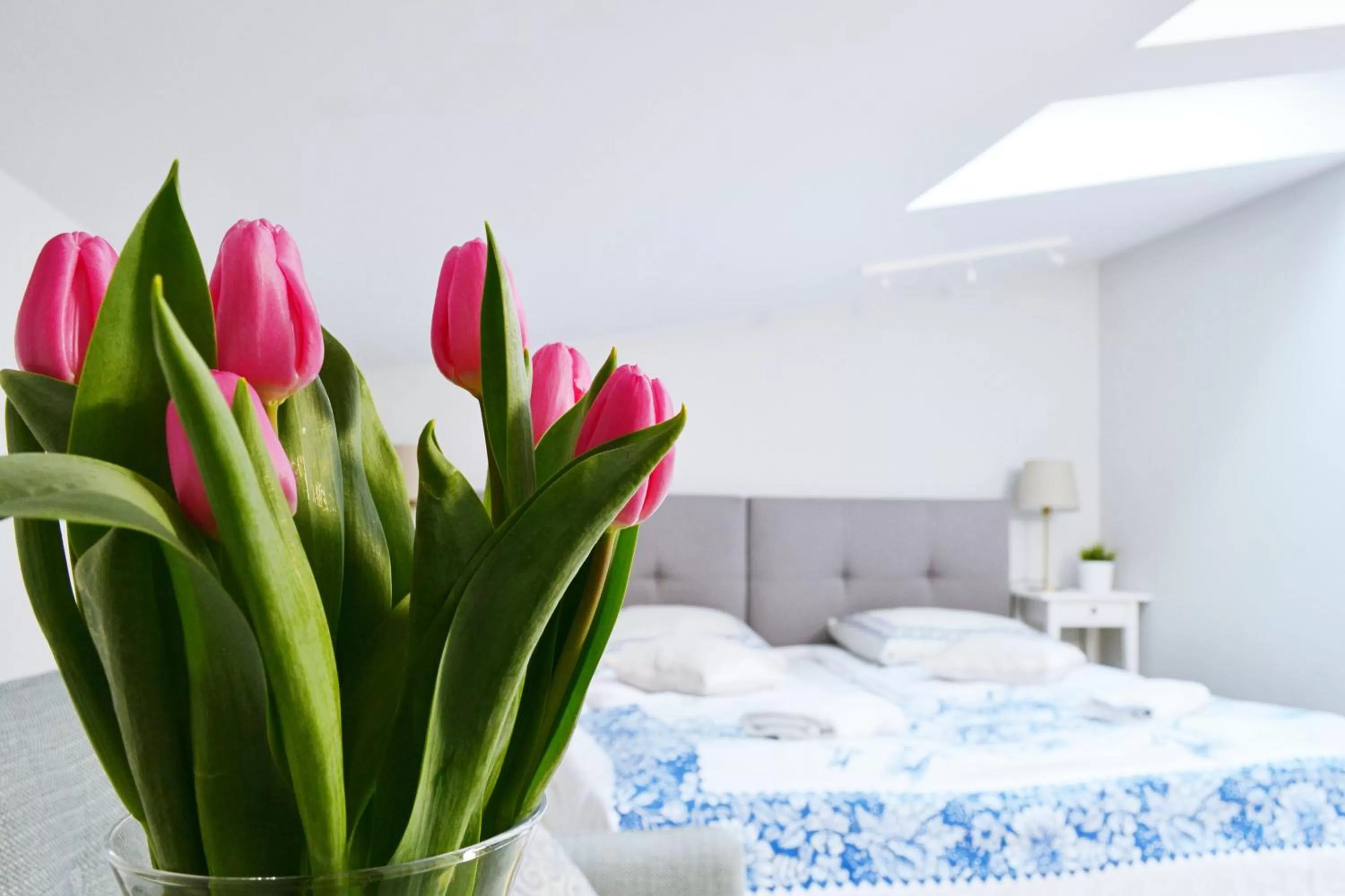 Bed in 21 Floriańska Street Apartments