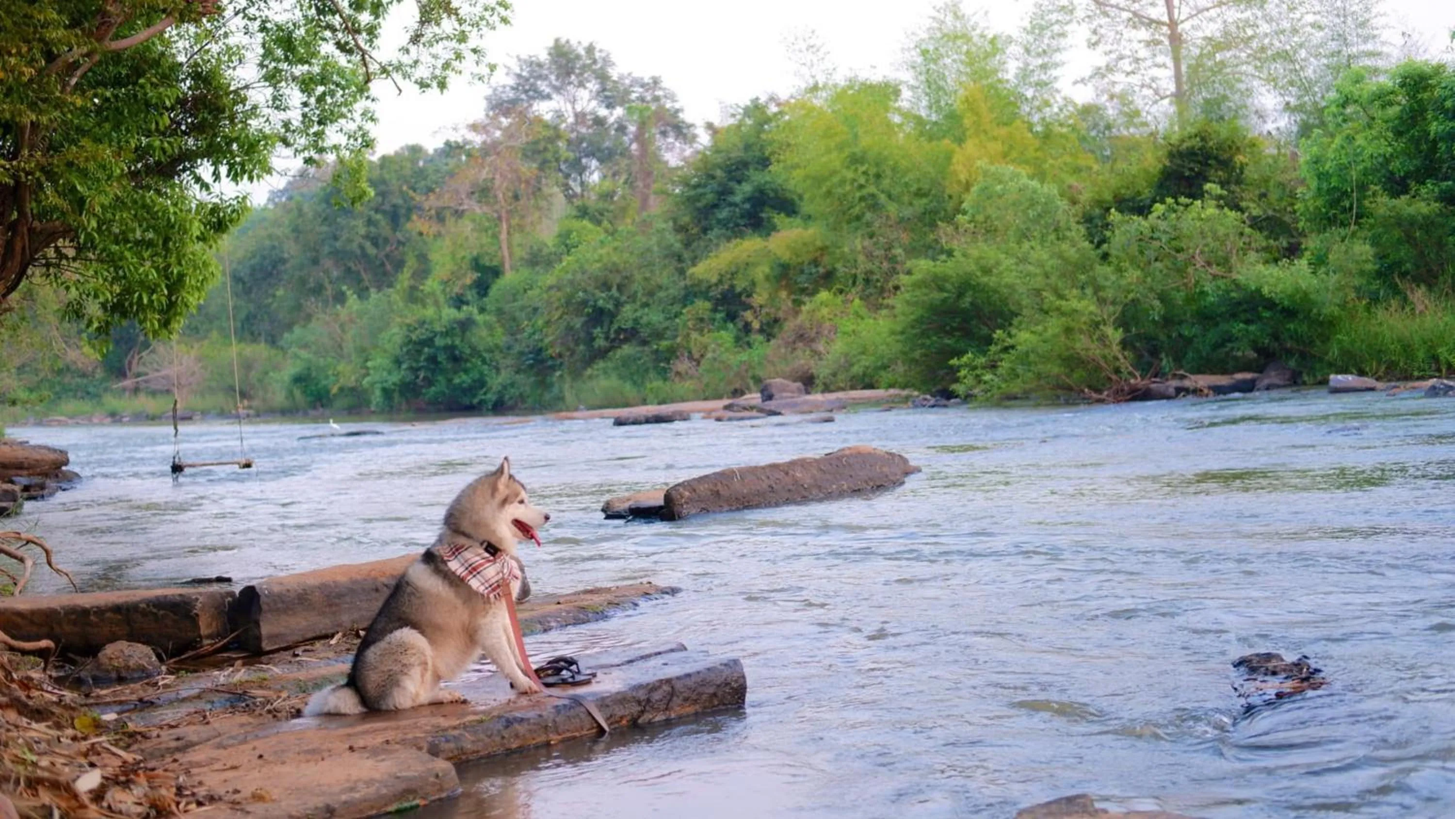 Naturalpark Resort De Wangthong