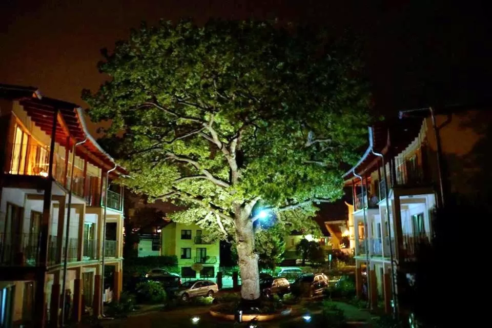 Property building in Rezydencja 5 Dębów